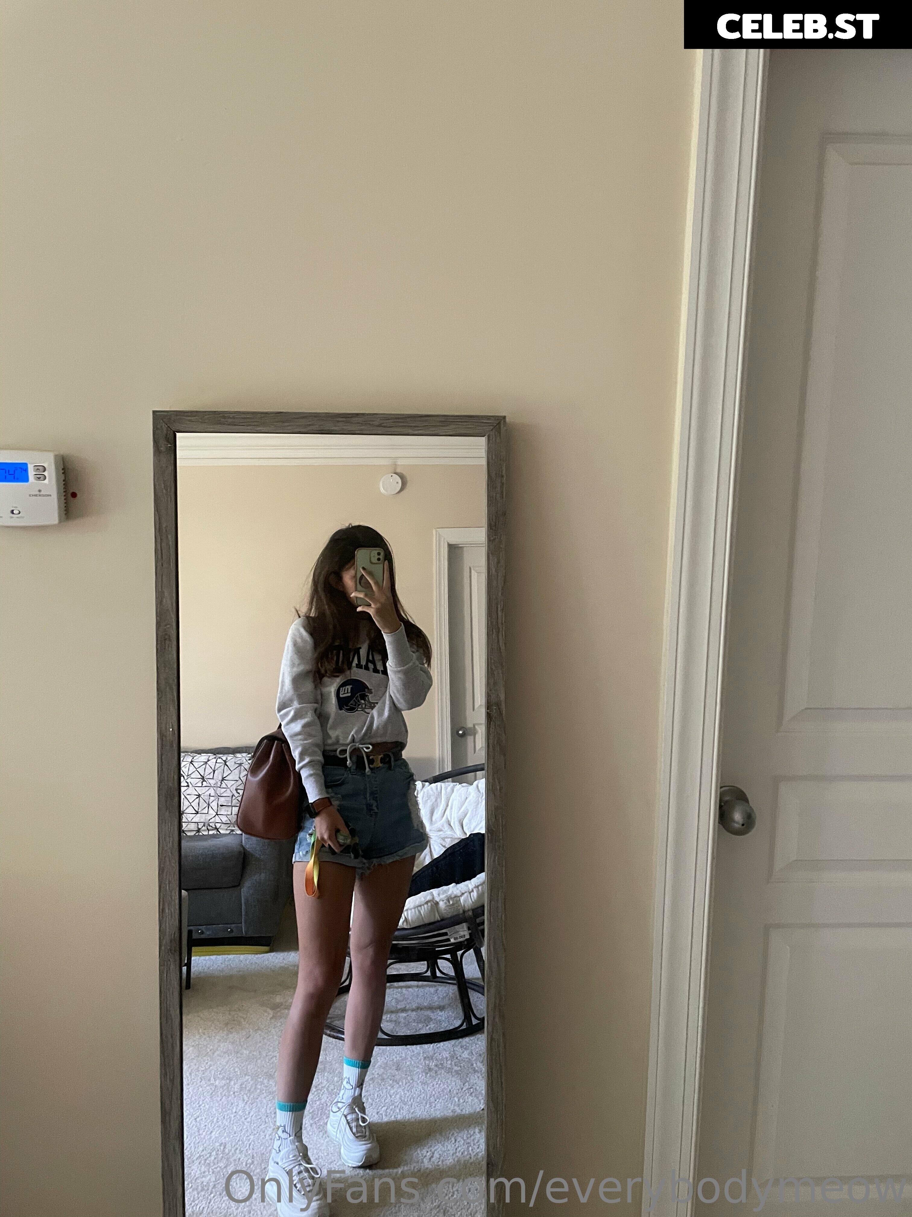 everybodymeow Image 14652898