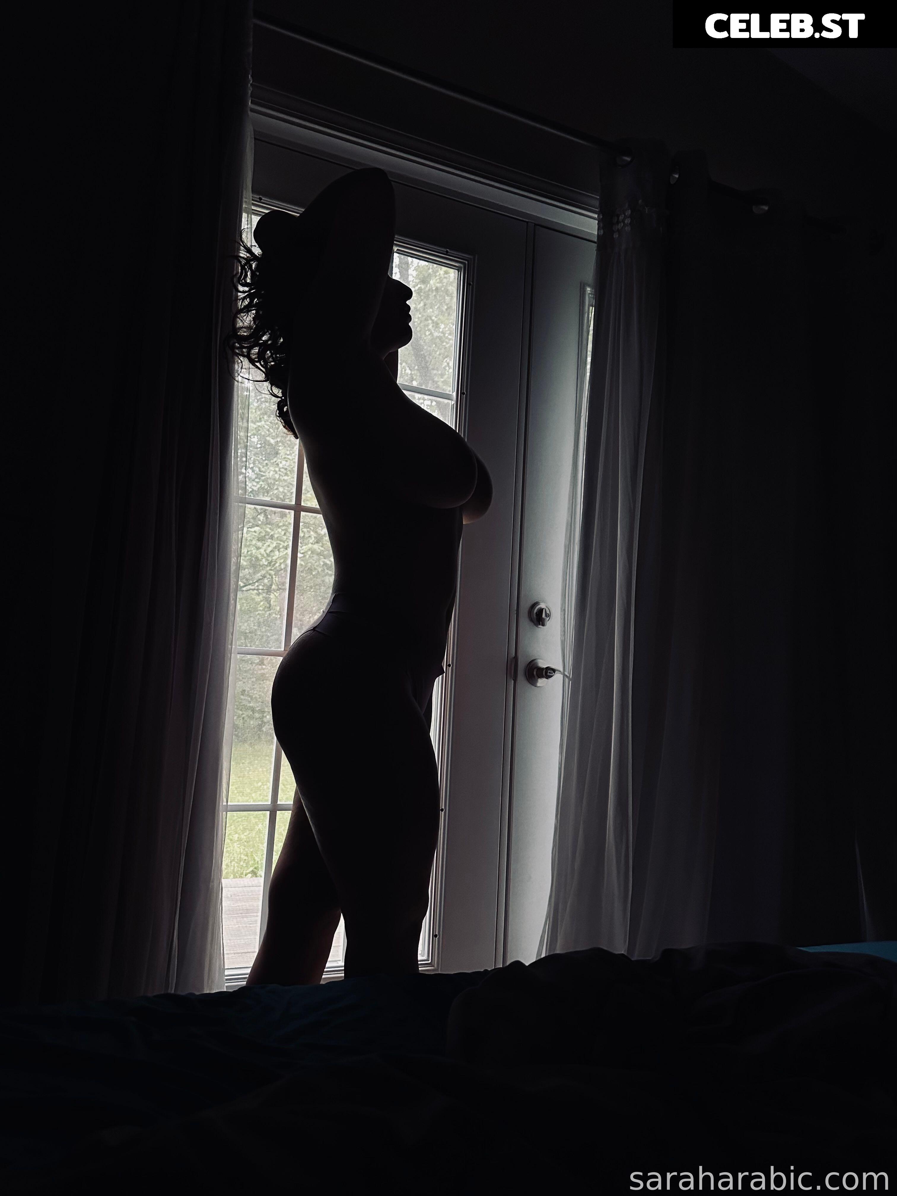SarahArabic Image 14652519