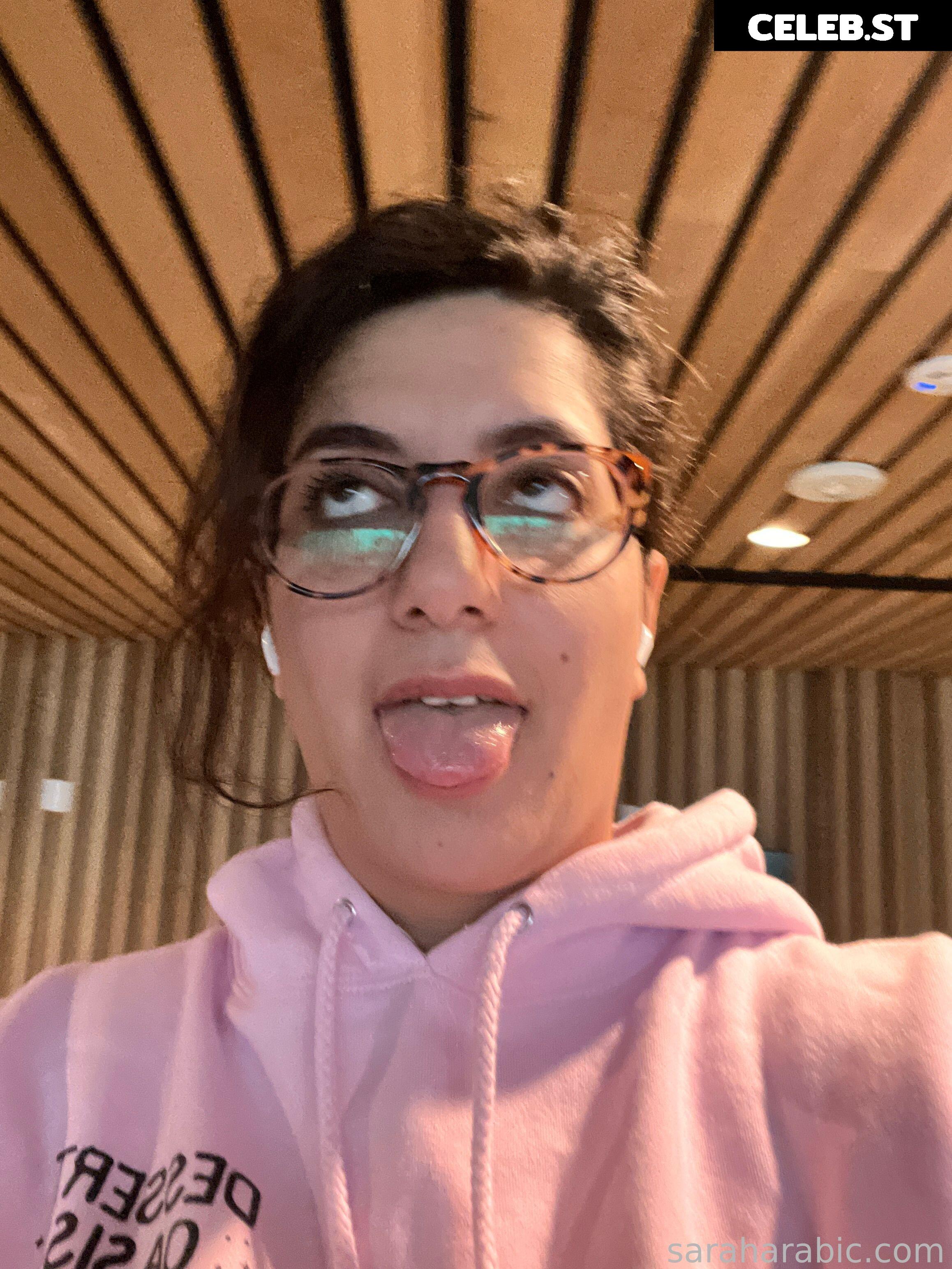 SarahArabic Image 14652156