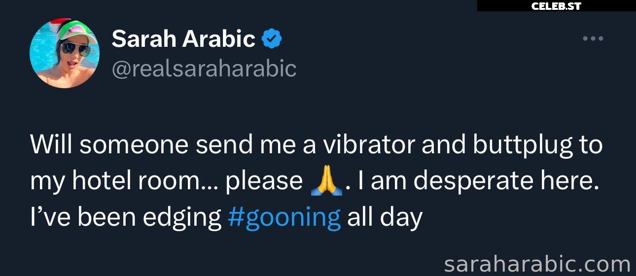 SarahArabic Image 14652088