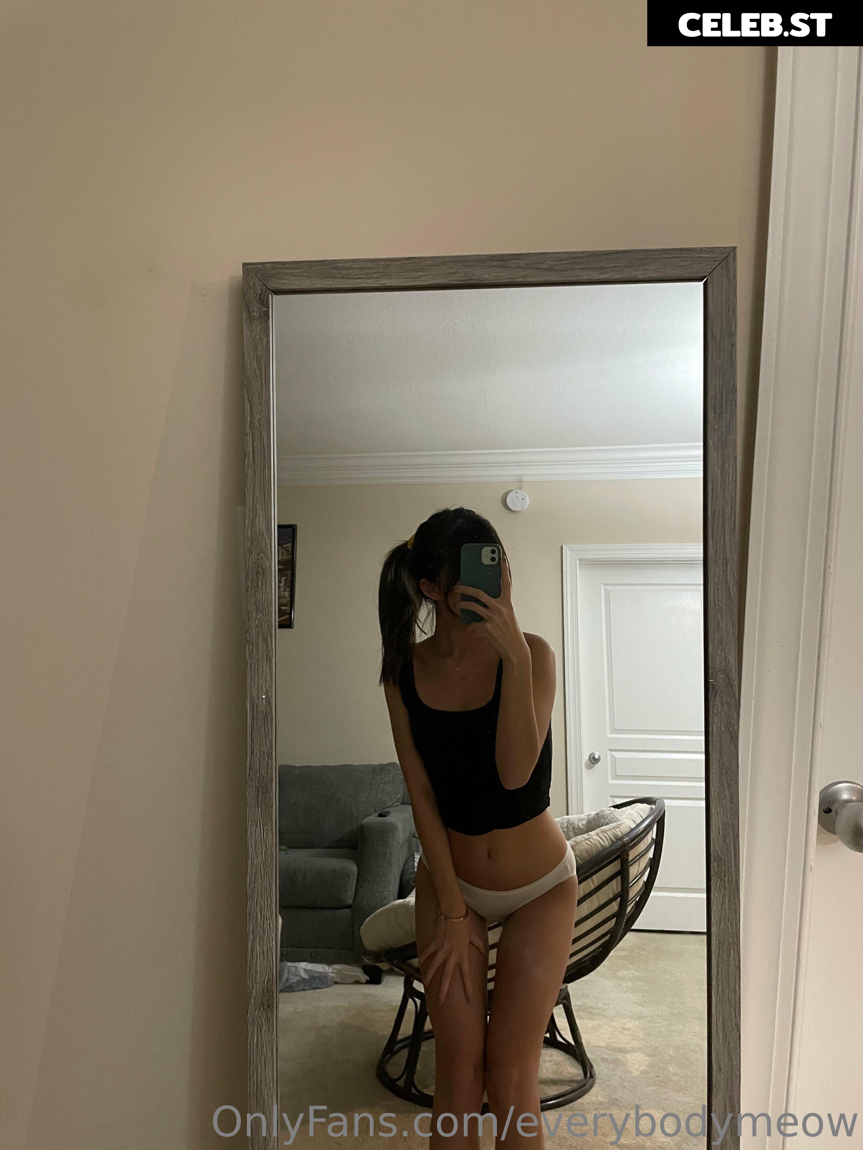 everybodymeow Image 14652369
