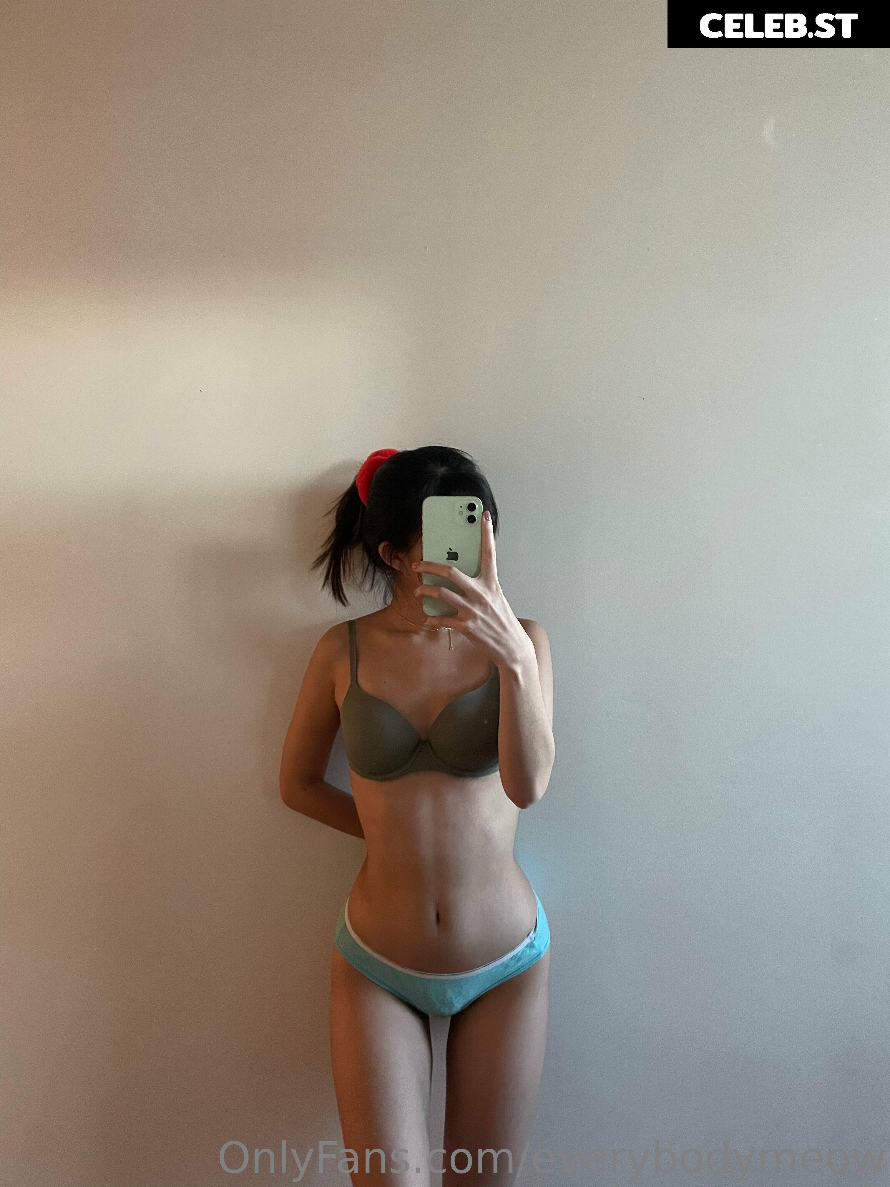 everybodymeow Image 14652281