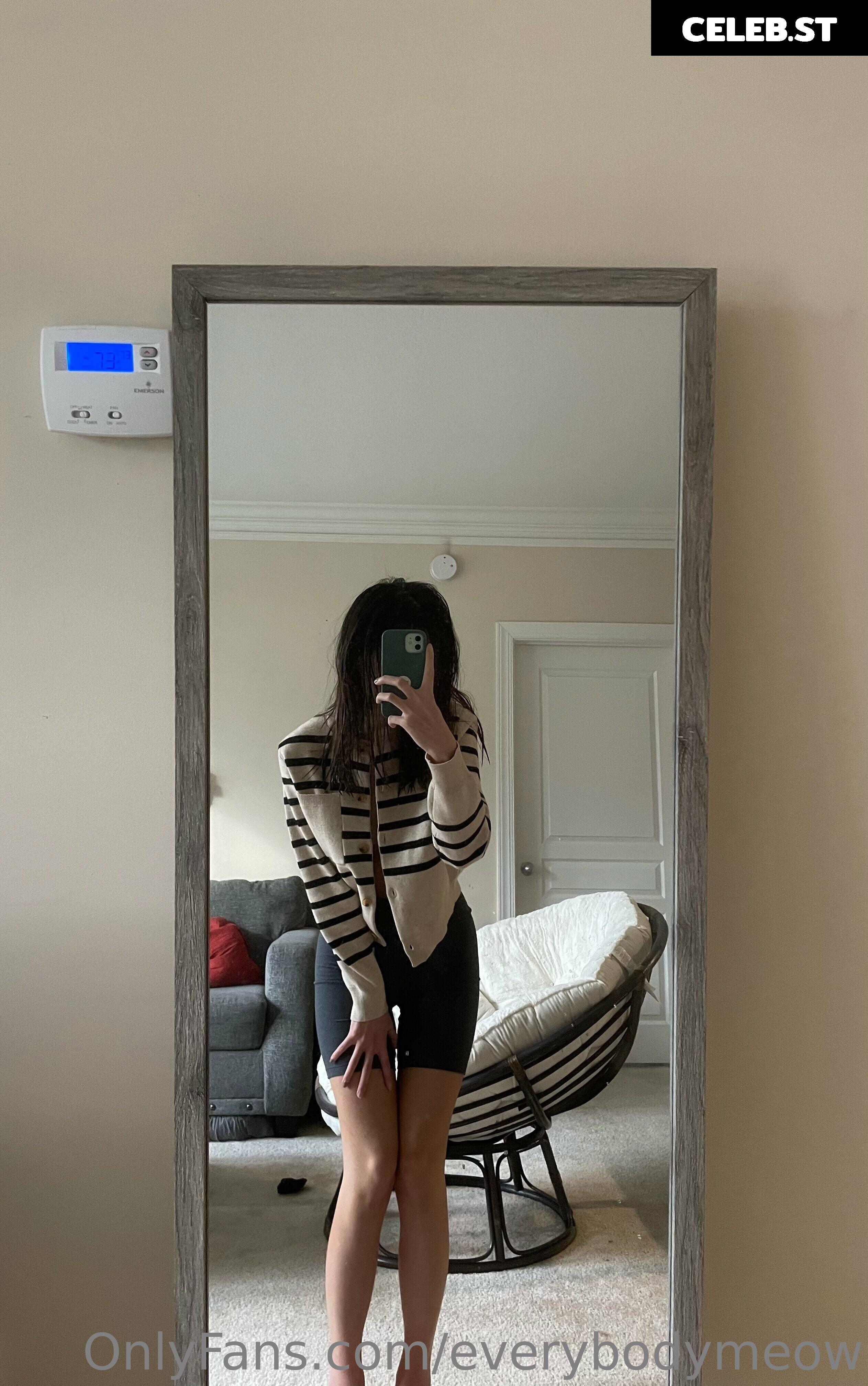 everybodymeow Image 14652259
