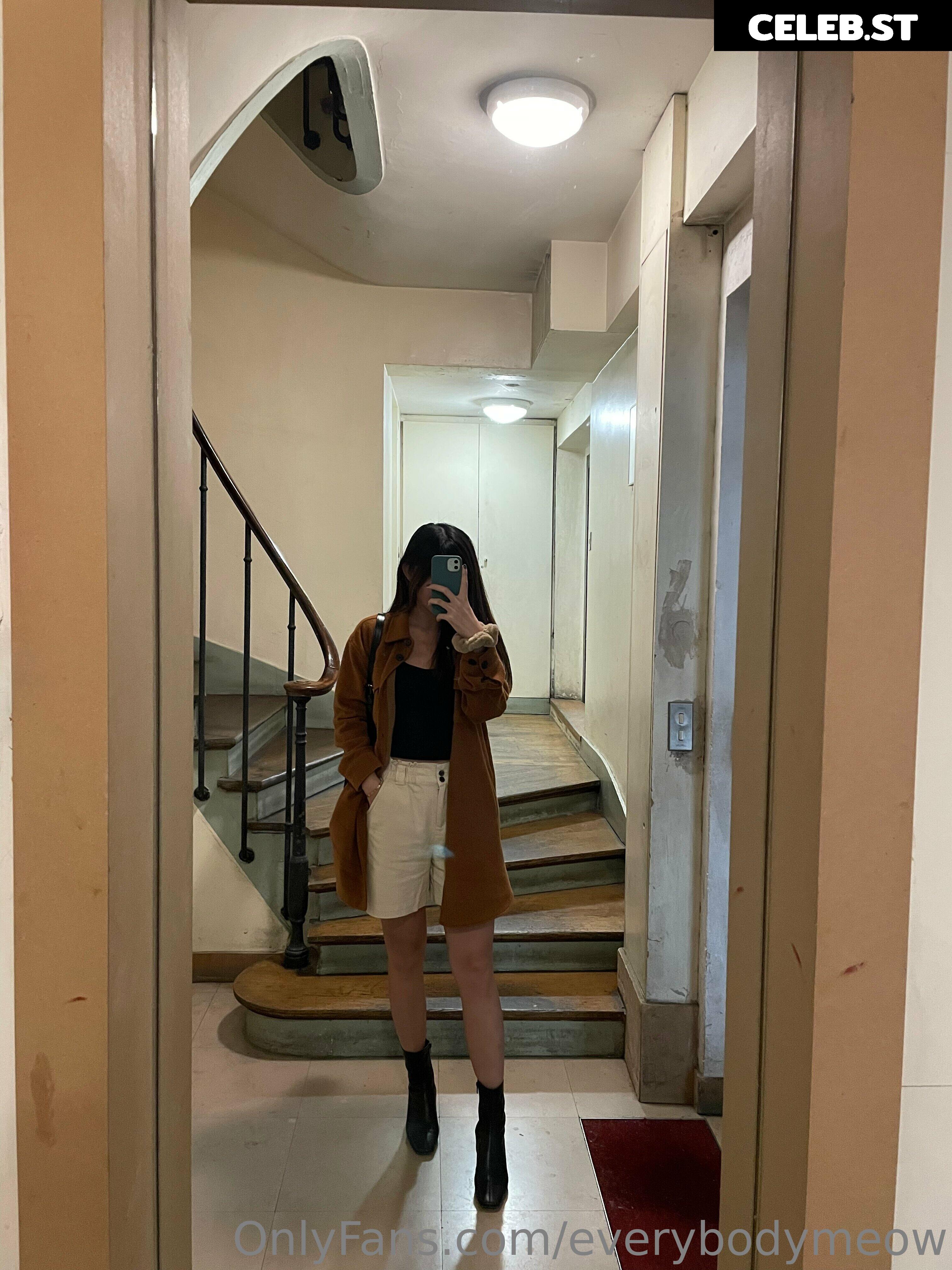 everybodymeow Image 14652273