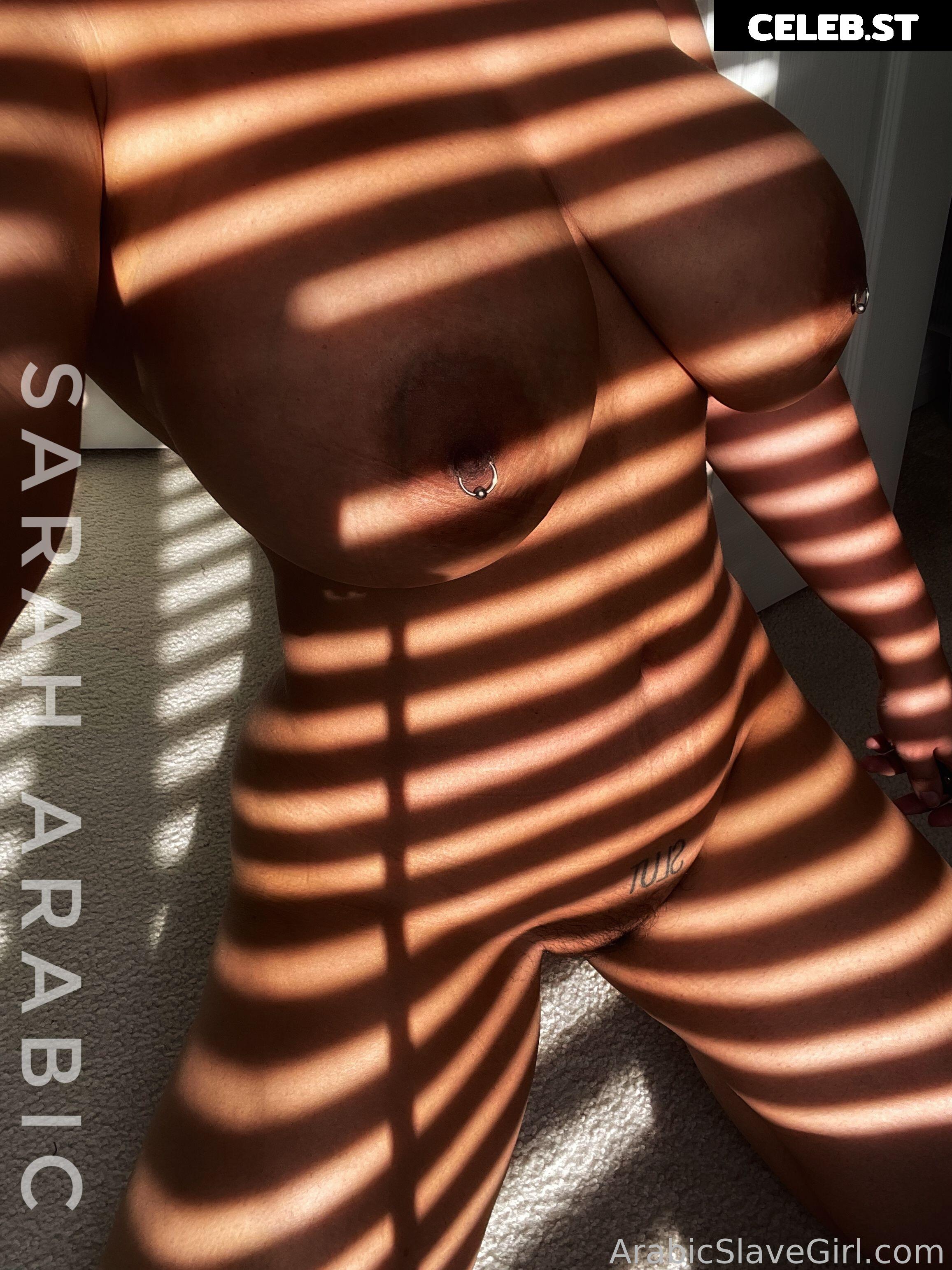 SarahArabic Image 14659801