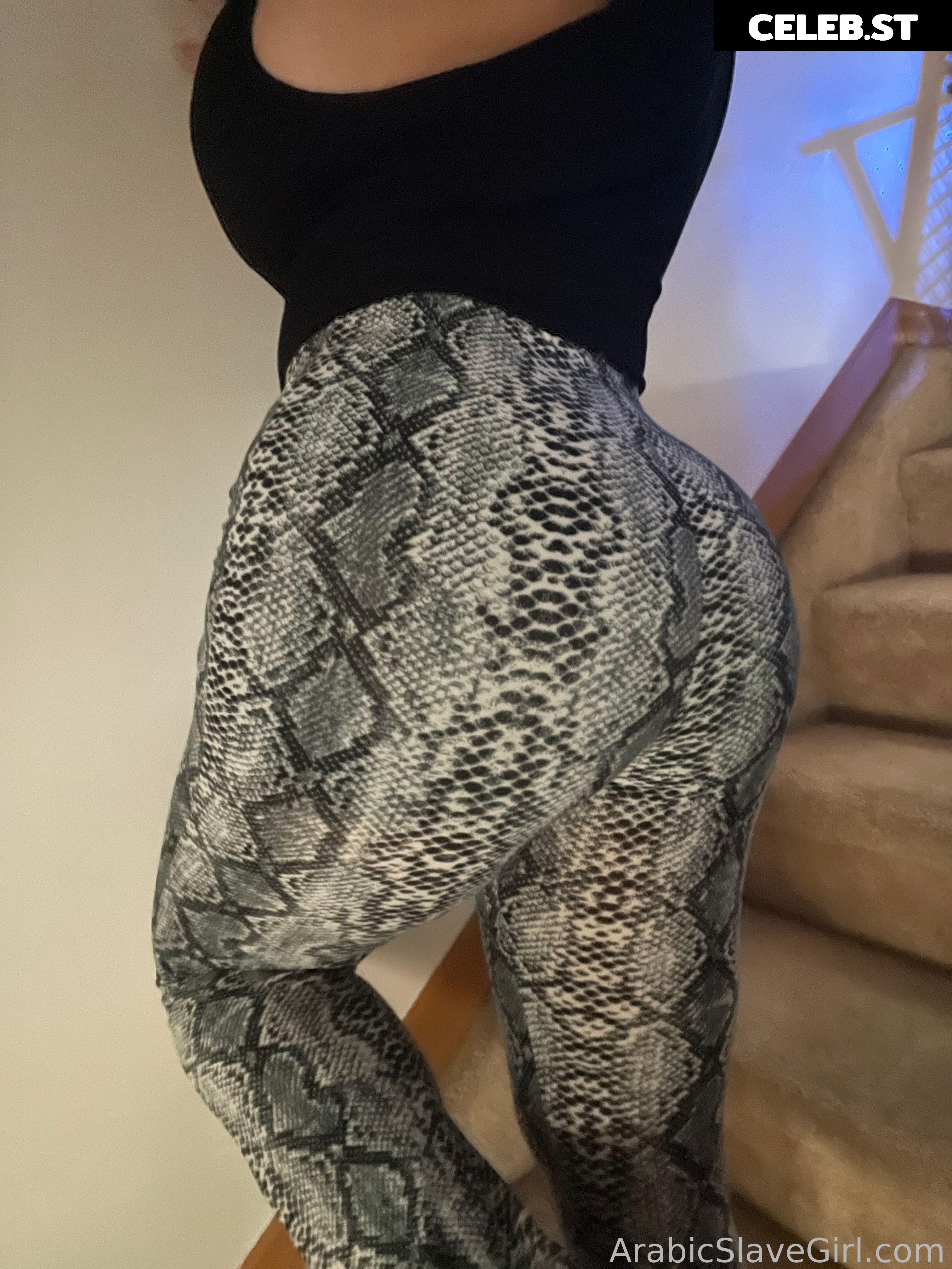 SarahArabic Image 14659349