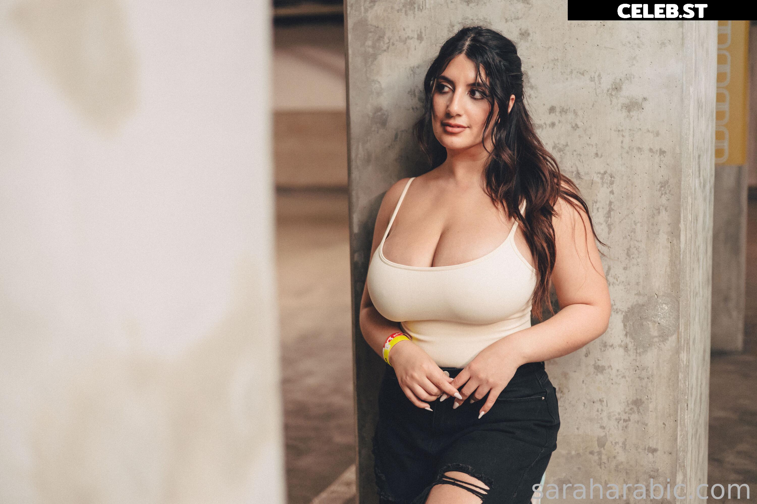 SarahArabic Image 14648547