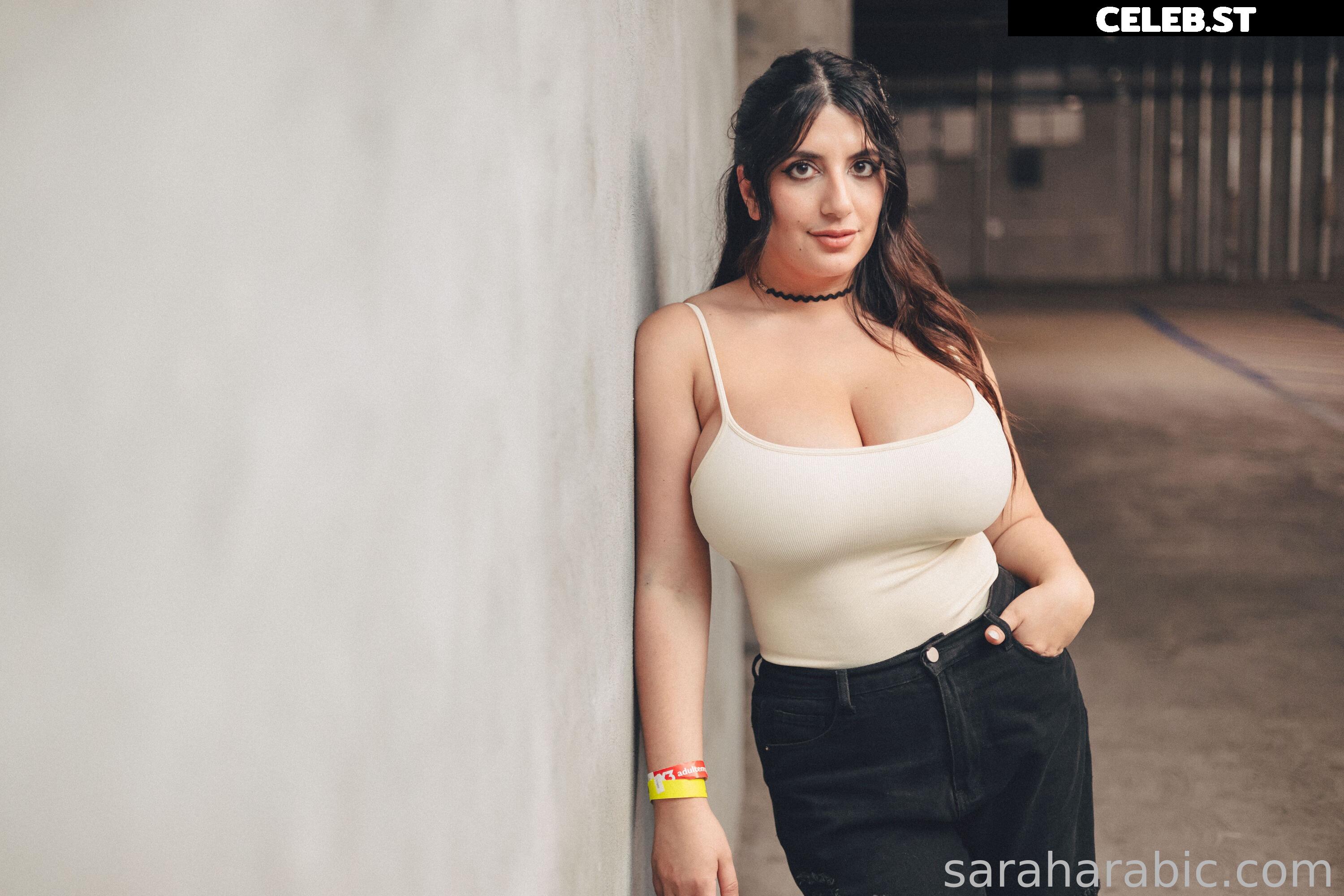 SarahArabic Image 14648441