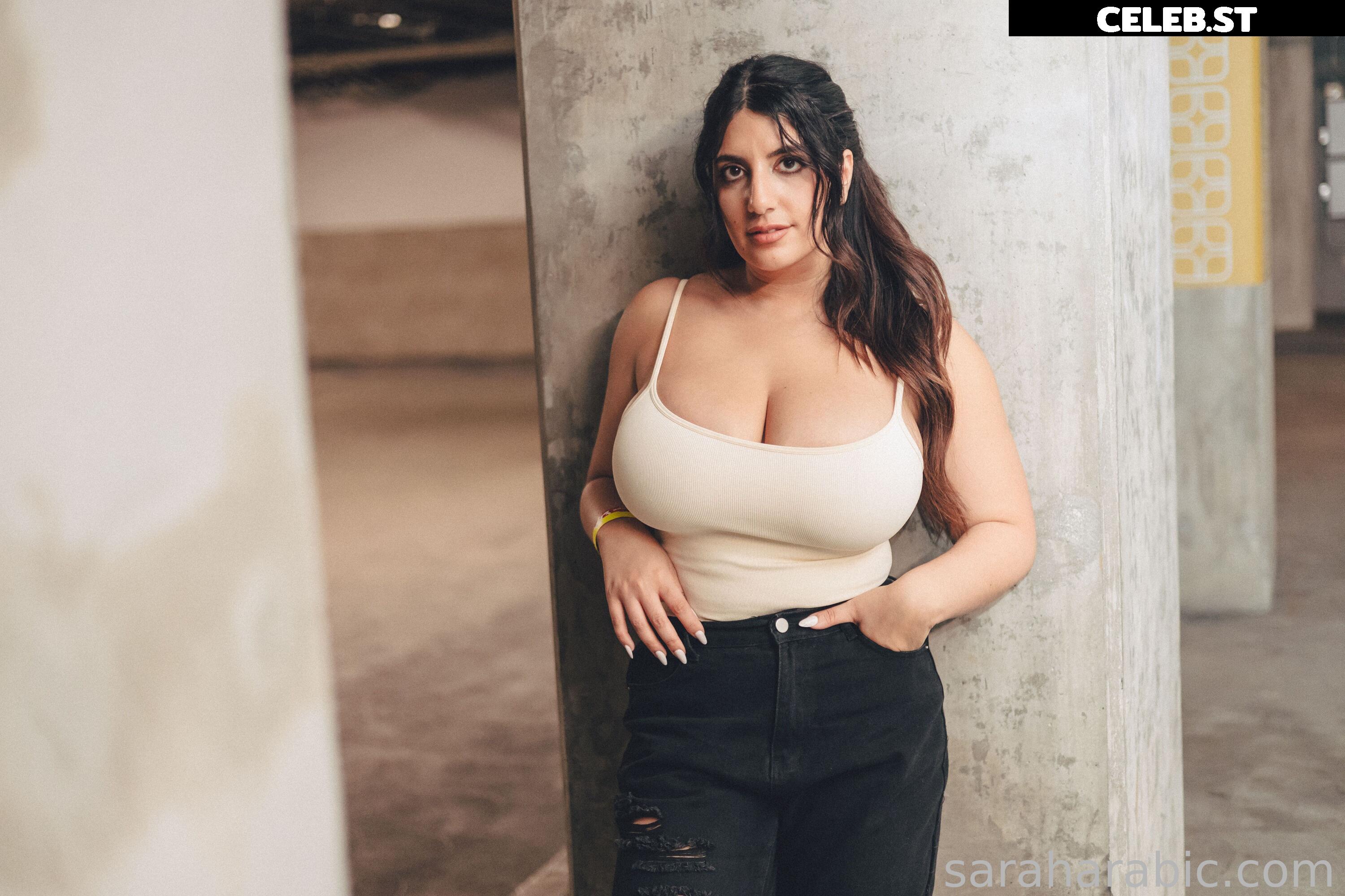 SarahArabic Image 14648347