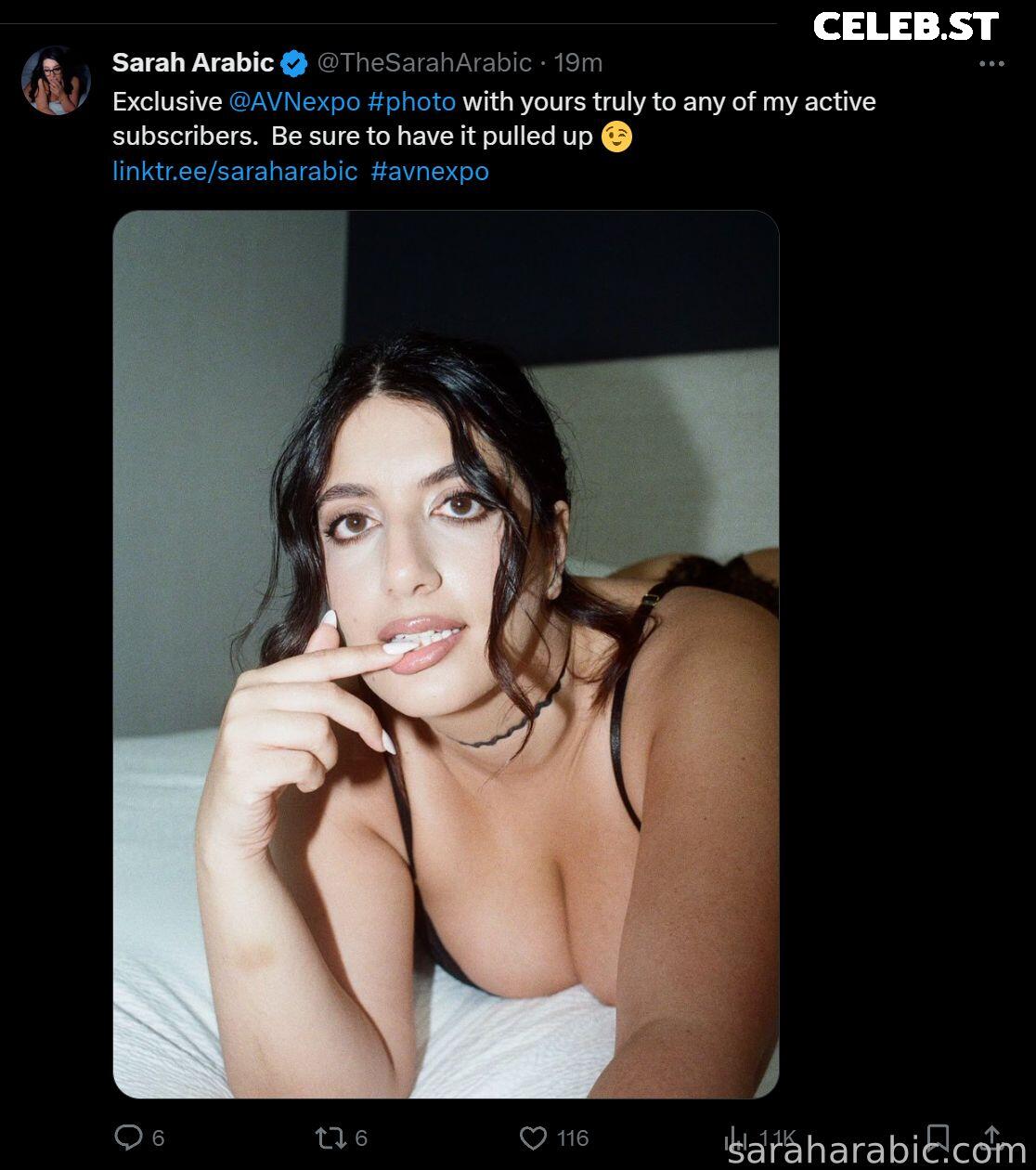 SarahArabic Image 14648275
