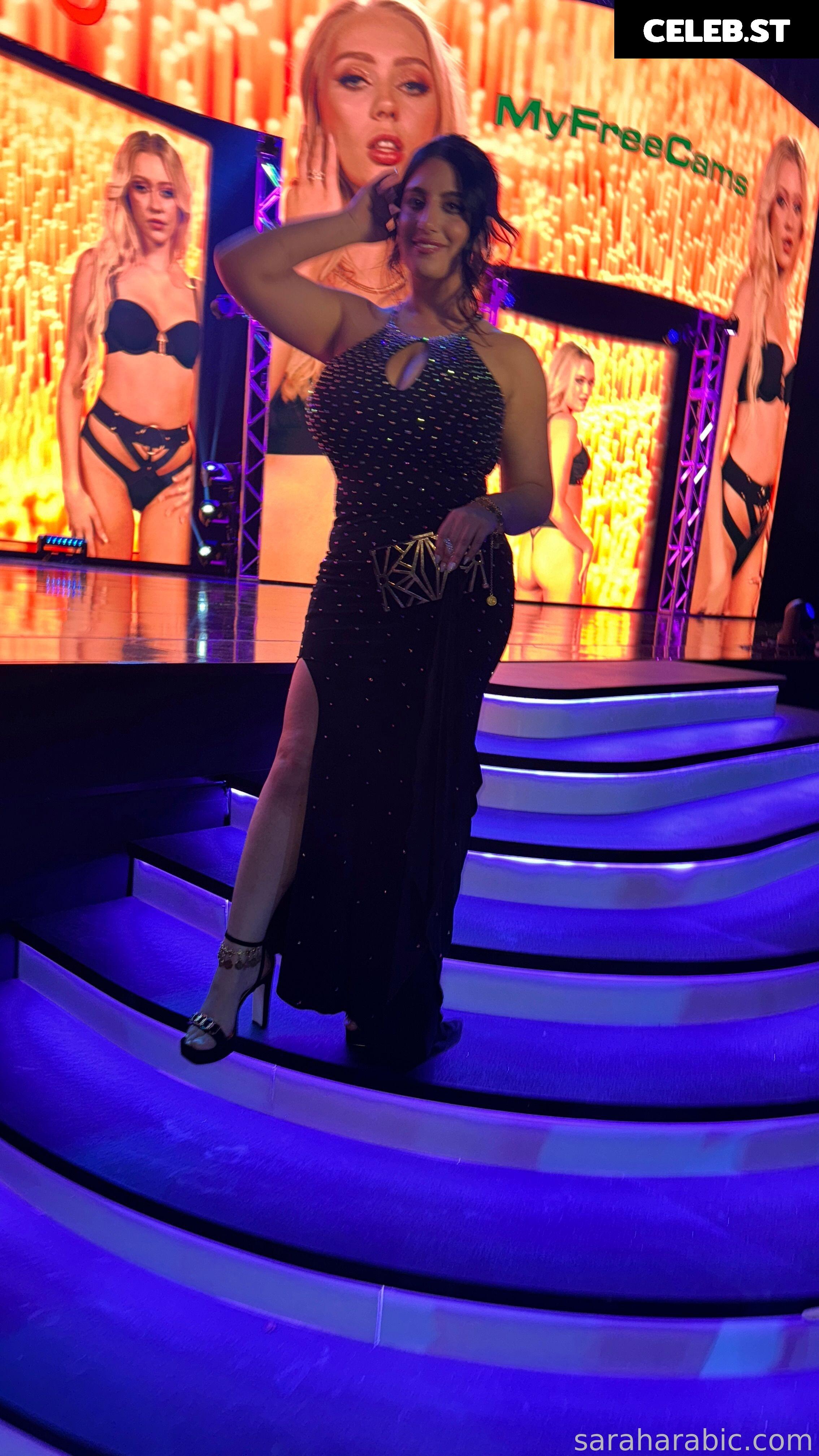 SarahArabic Image 14644529
