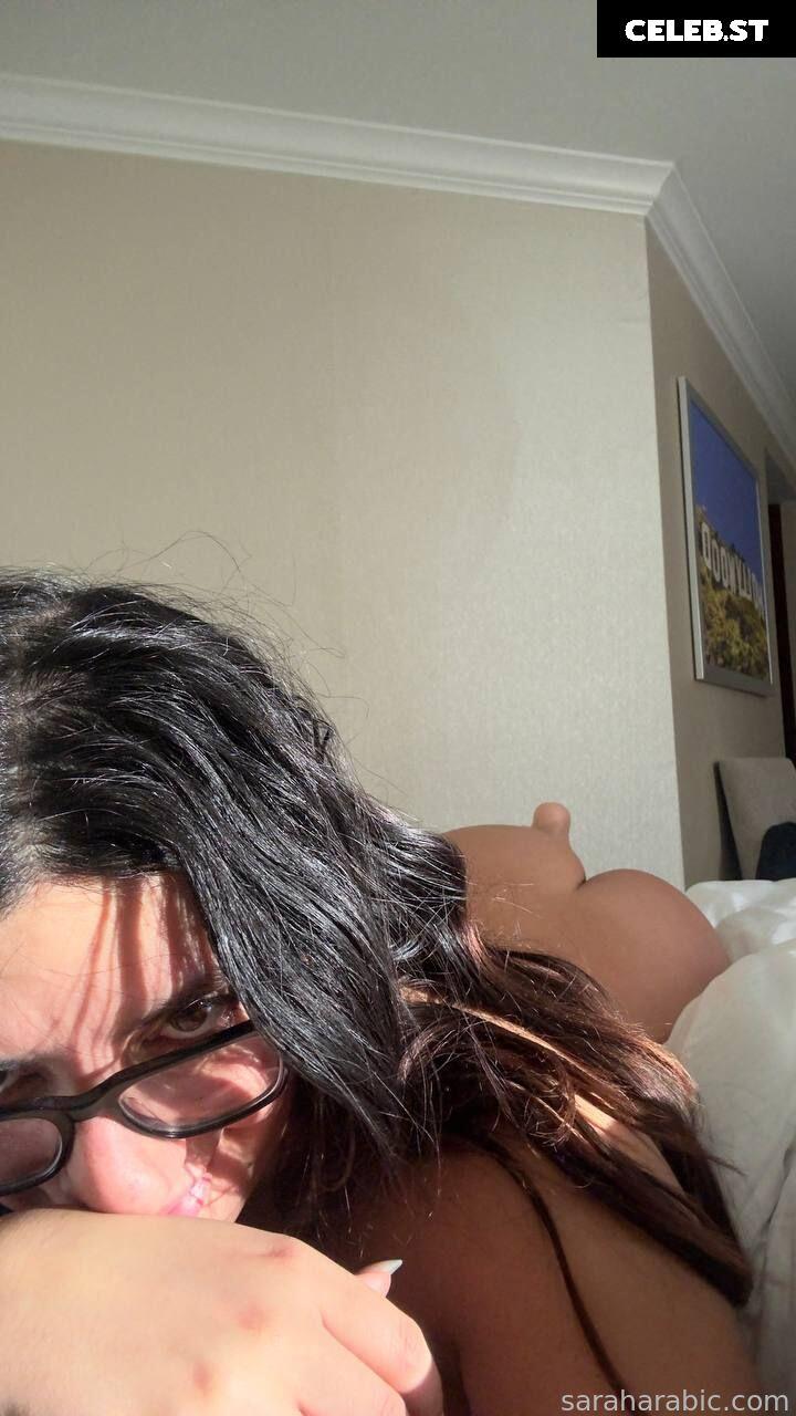 SarahArabic Image 14646498