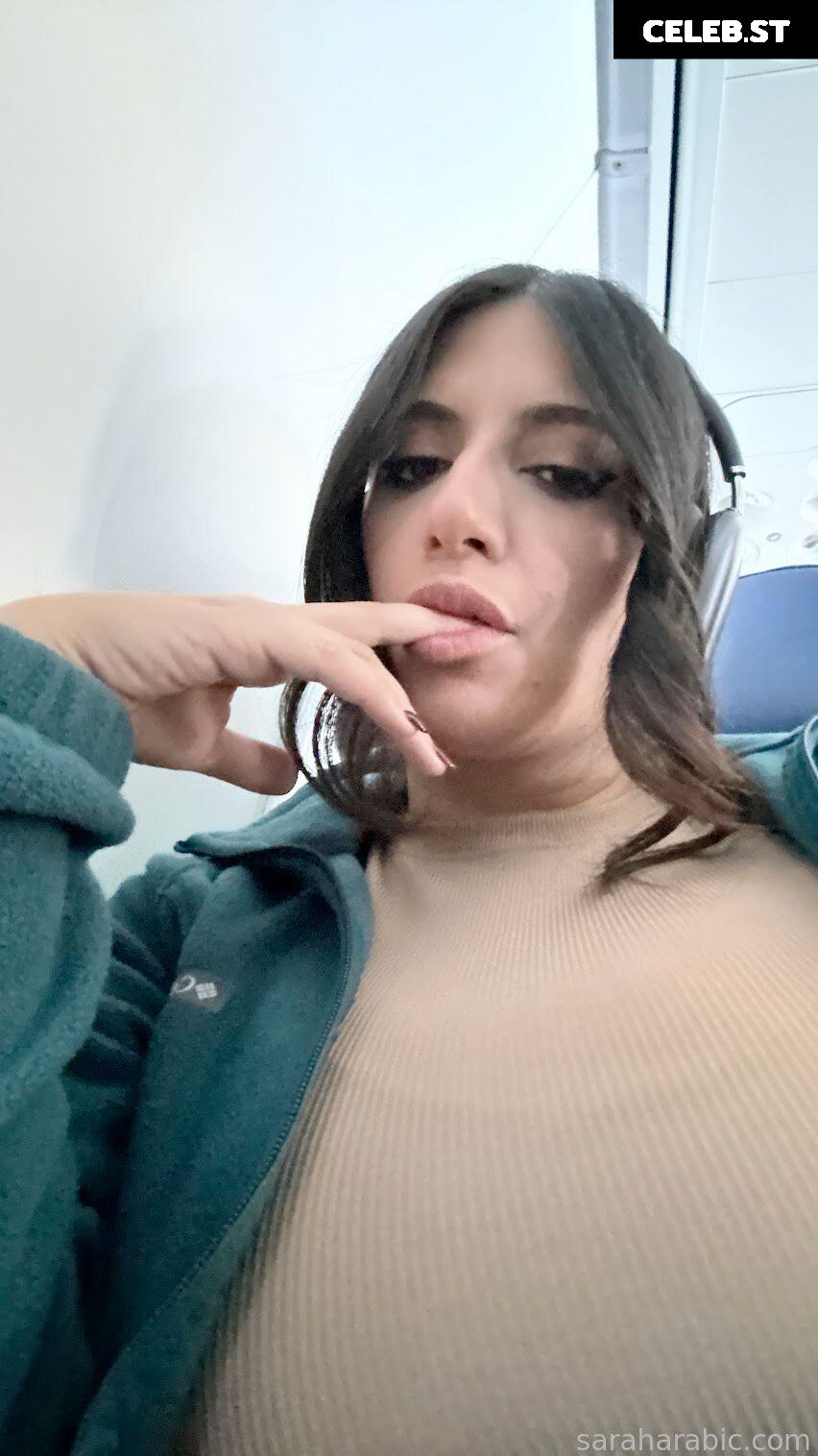 SarahArabic Image 14641107