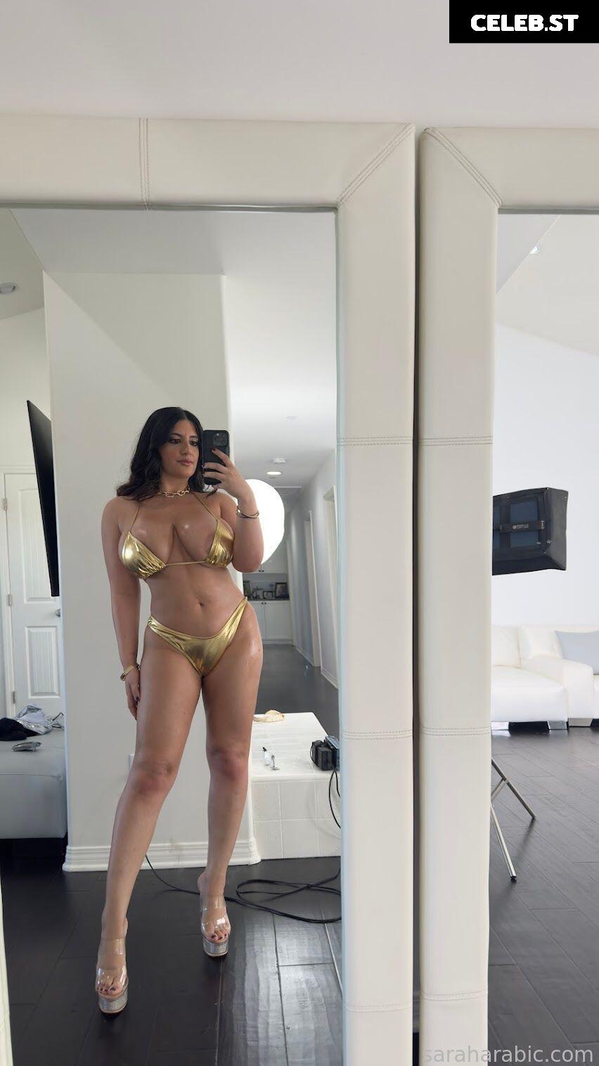 SarahArabic Image 14640888