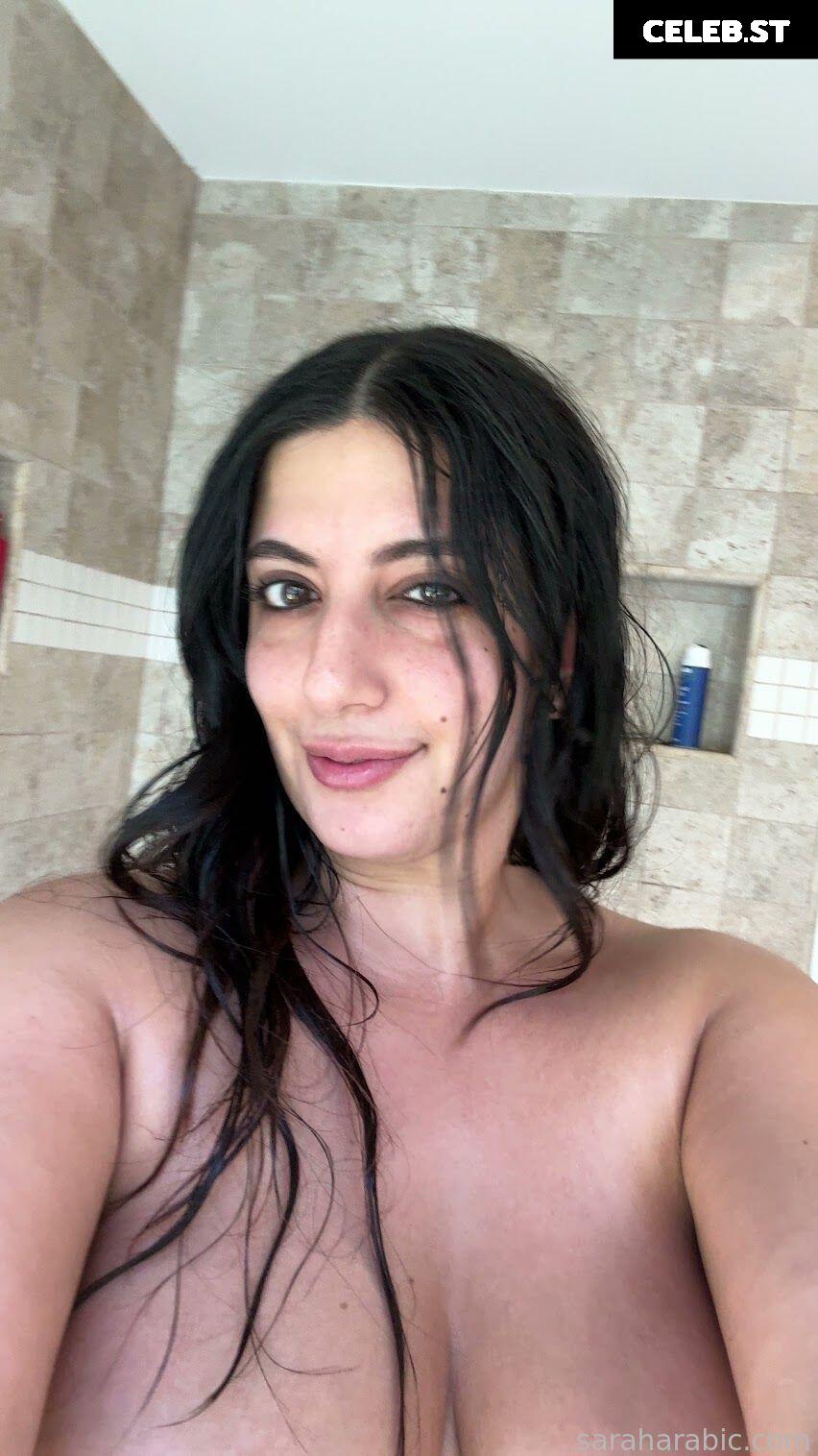 SarahArabic Image 14640672
