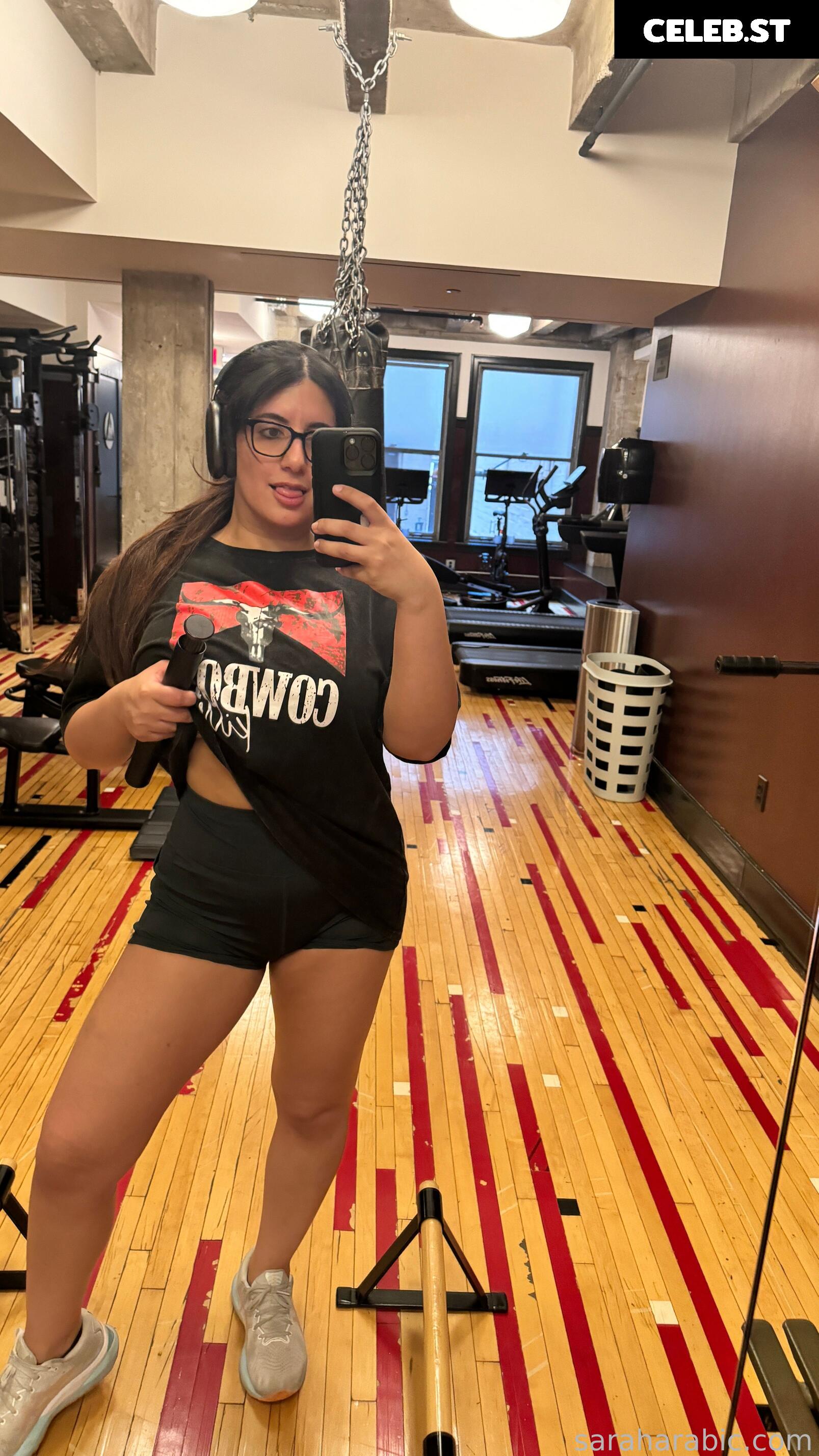 SarahArabic Image 14640122