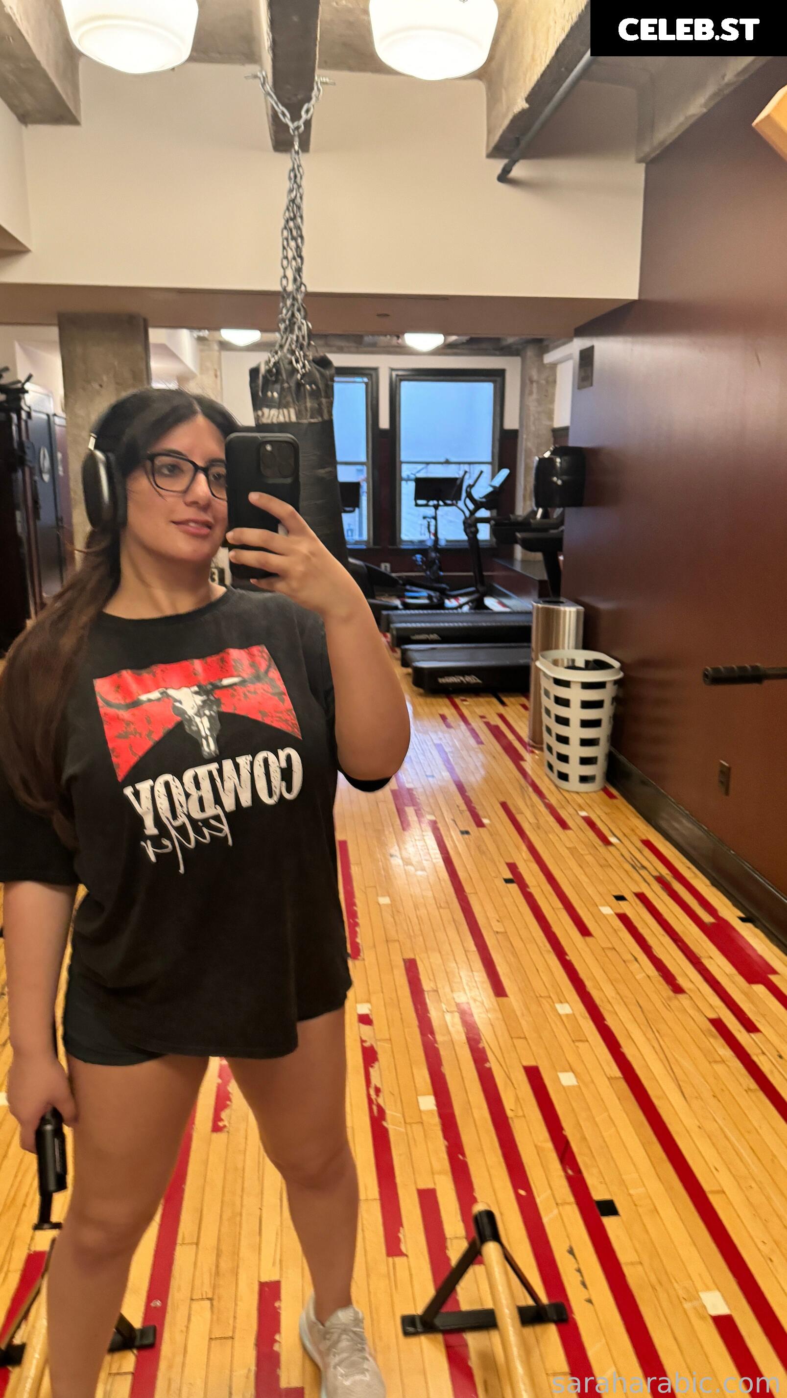SarahArabic Image 14640080