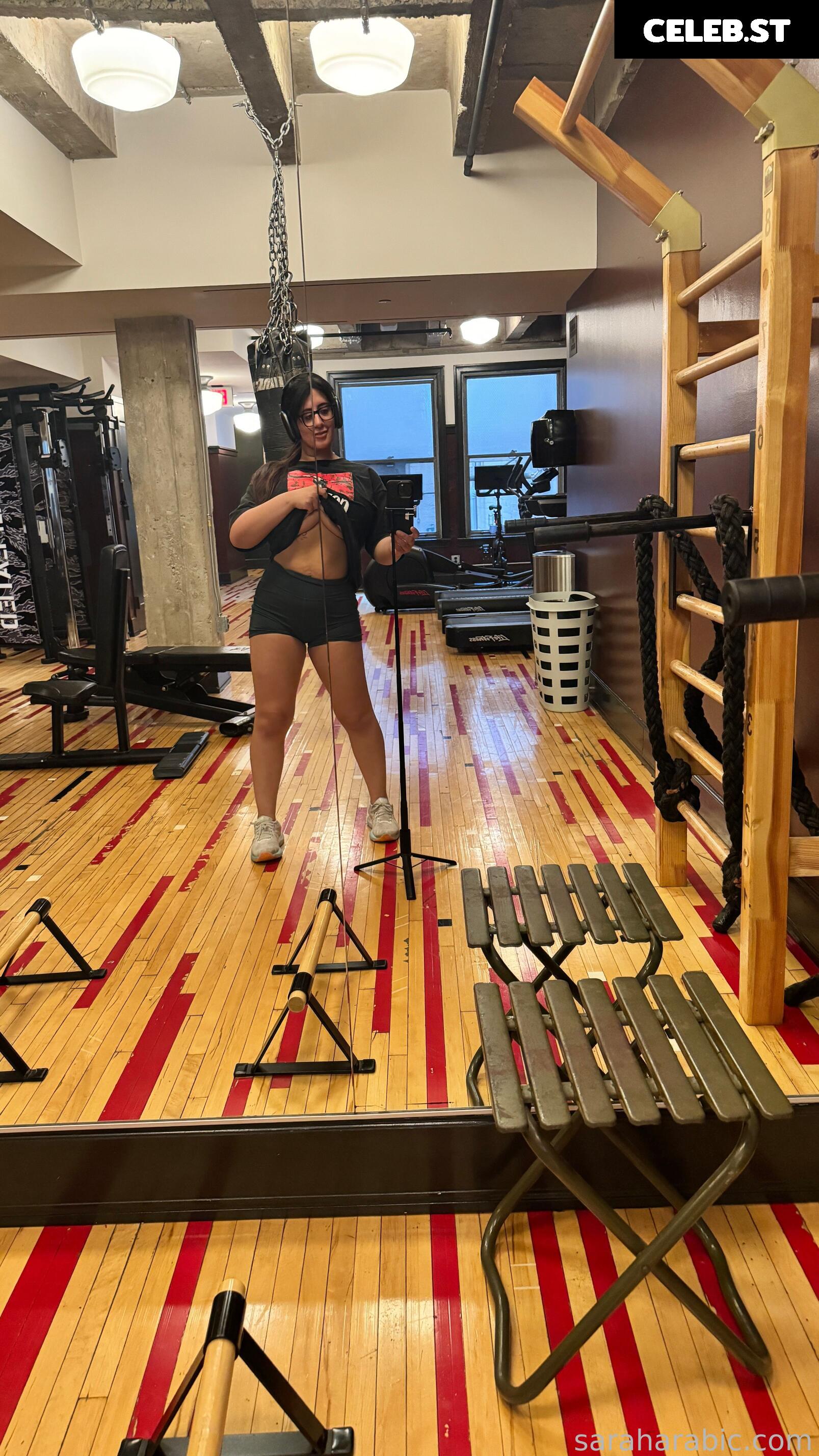 SarahArabic Image 14640077