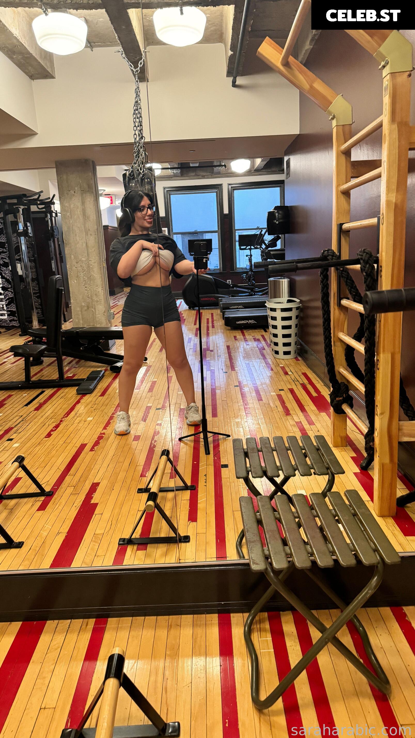 SarahArabic Image 14640078