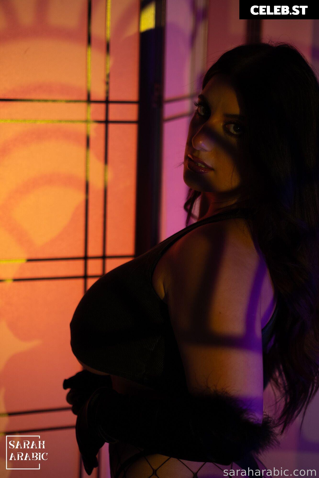 SarahArabic Image 14642075