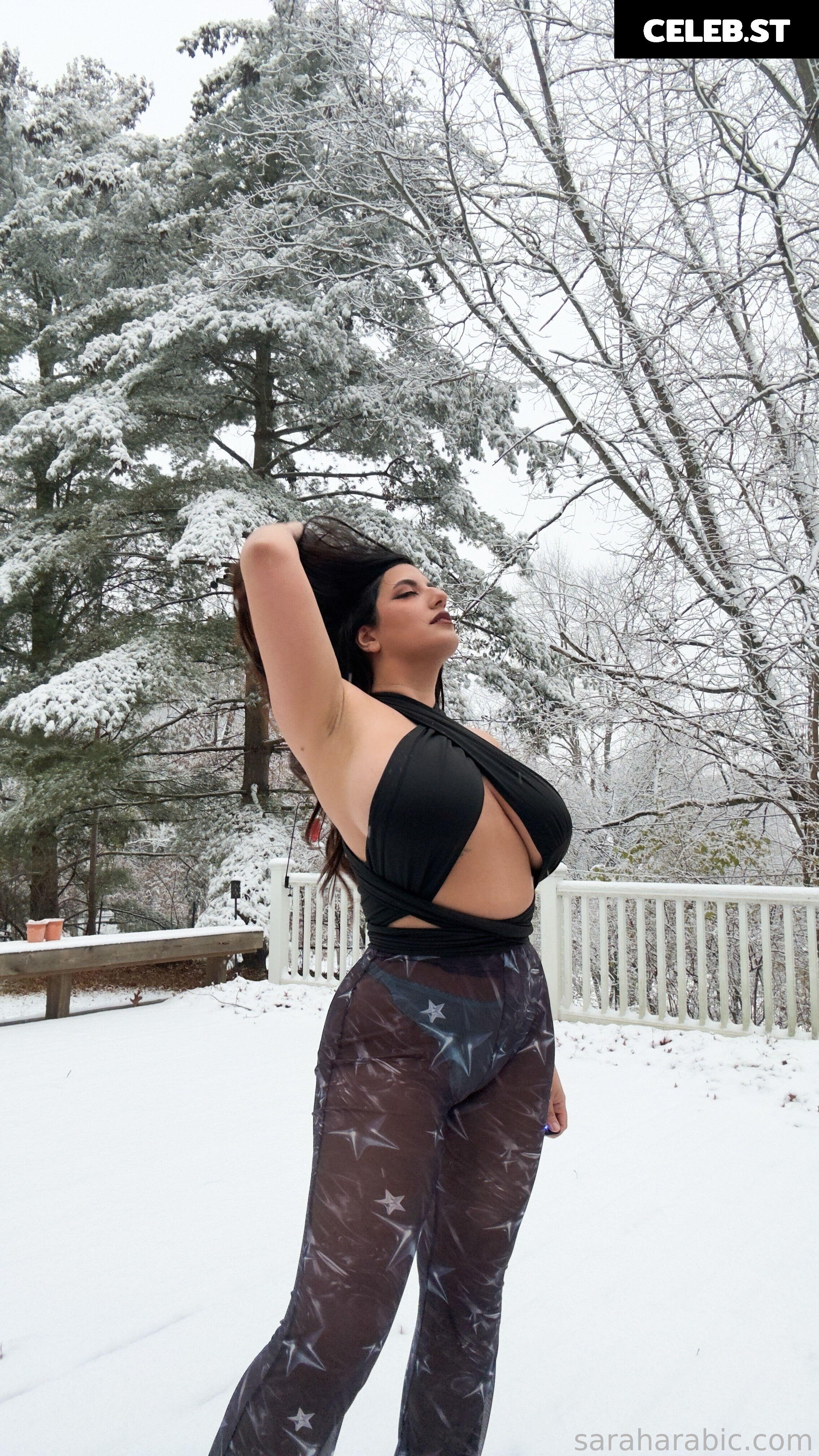 SarahArabic Image 14637407