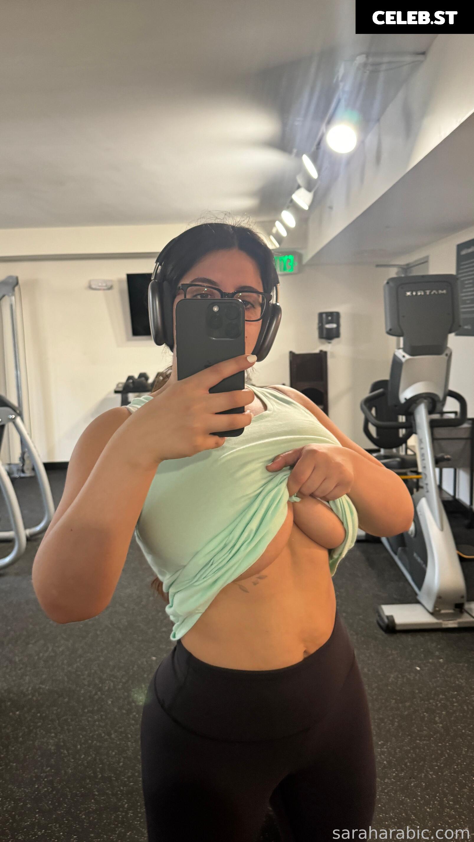 SarahArabic Image 14637390
