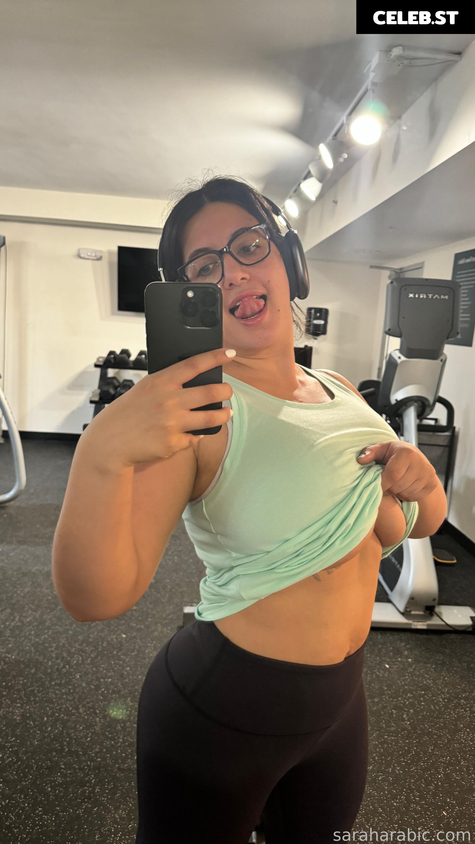 SarahArabic Image 14637387