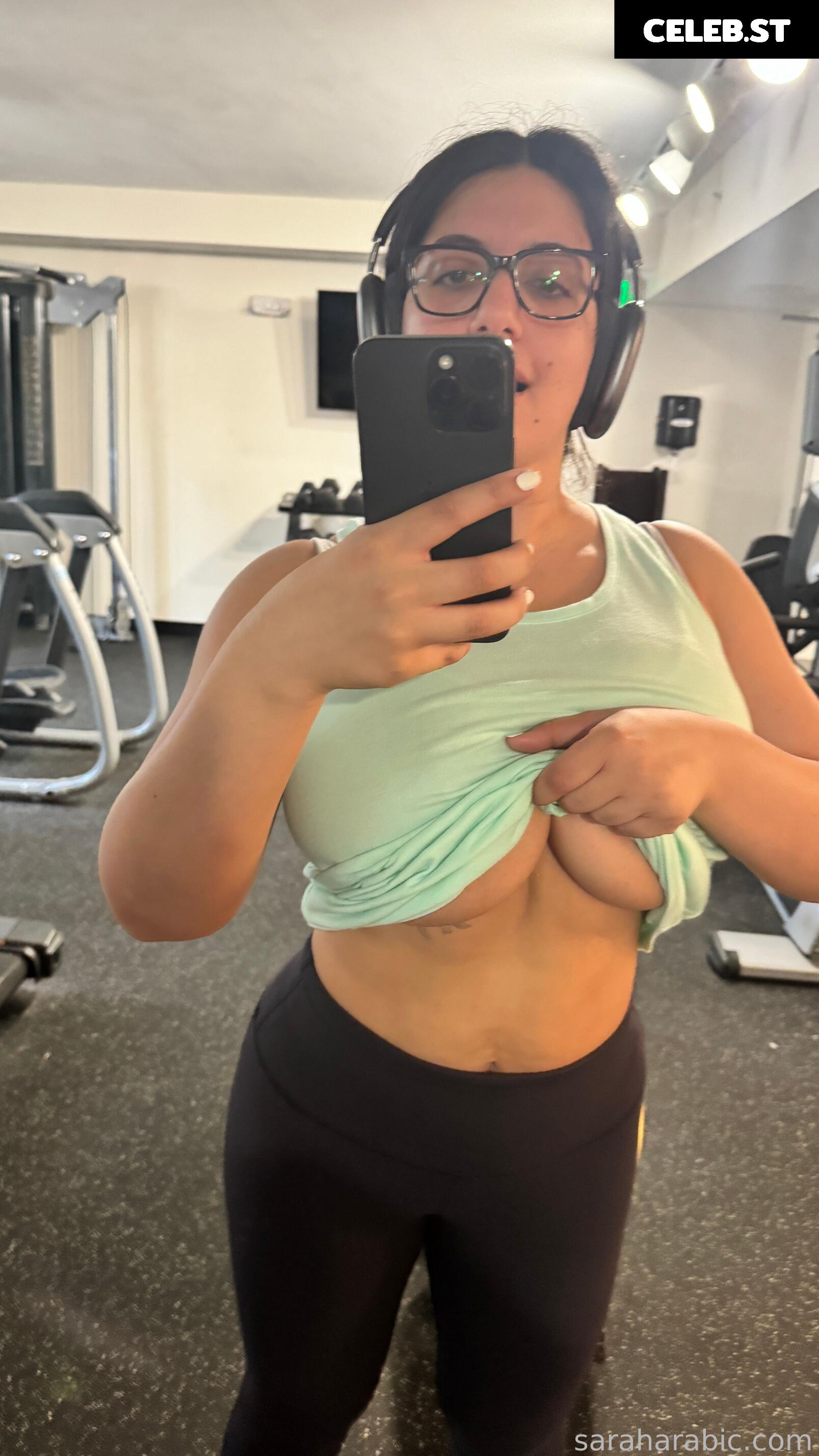 SarahArabic Image 14637389
