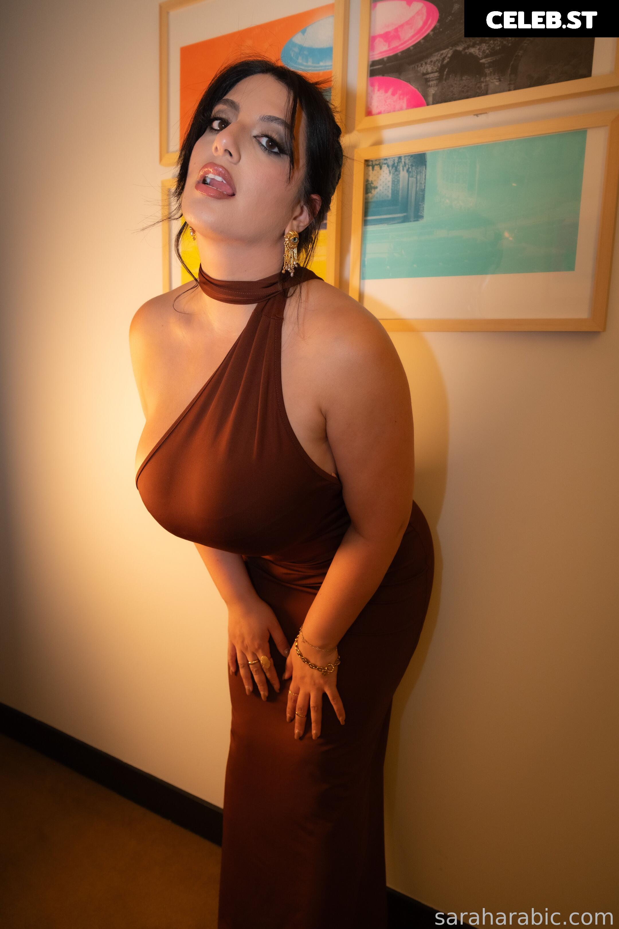 SarahArabic Image 14632412