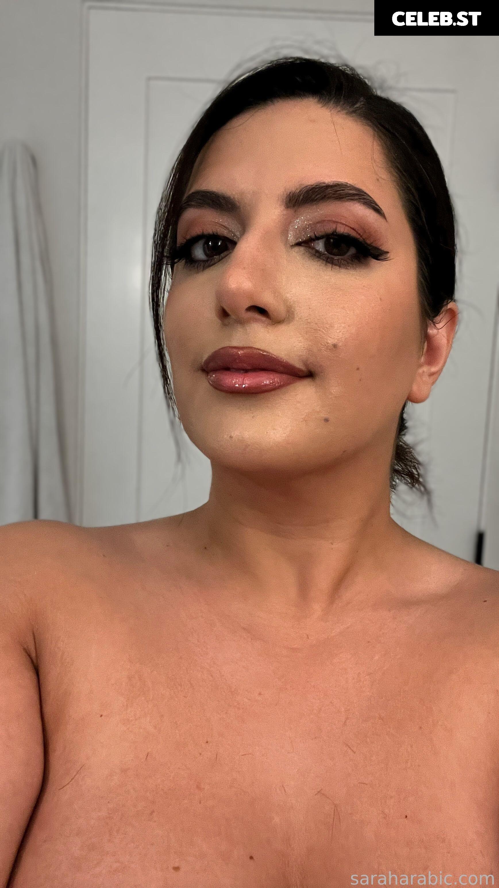 SarahArabic Image 14639310