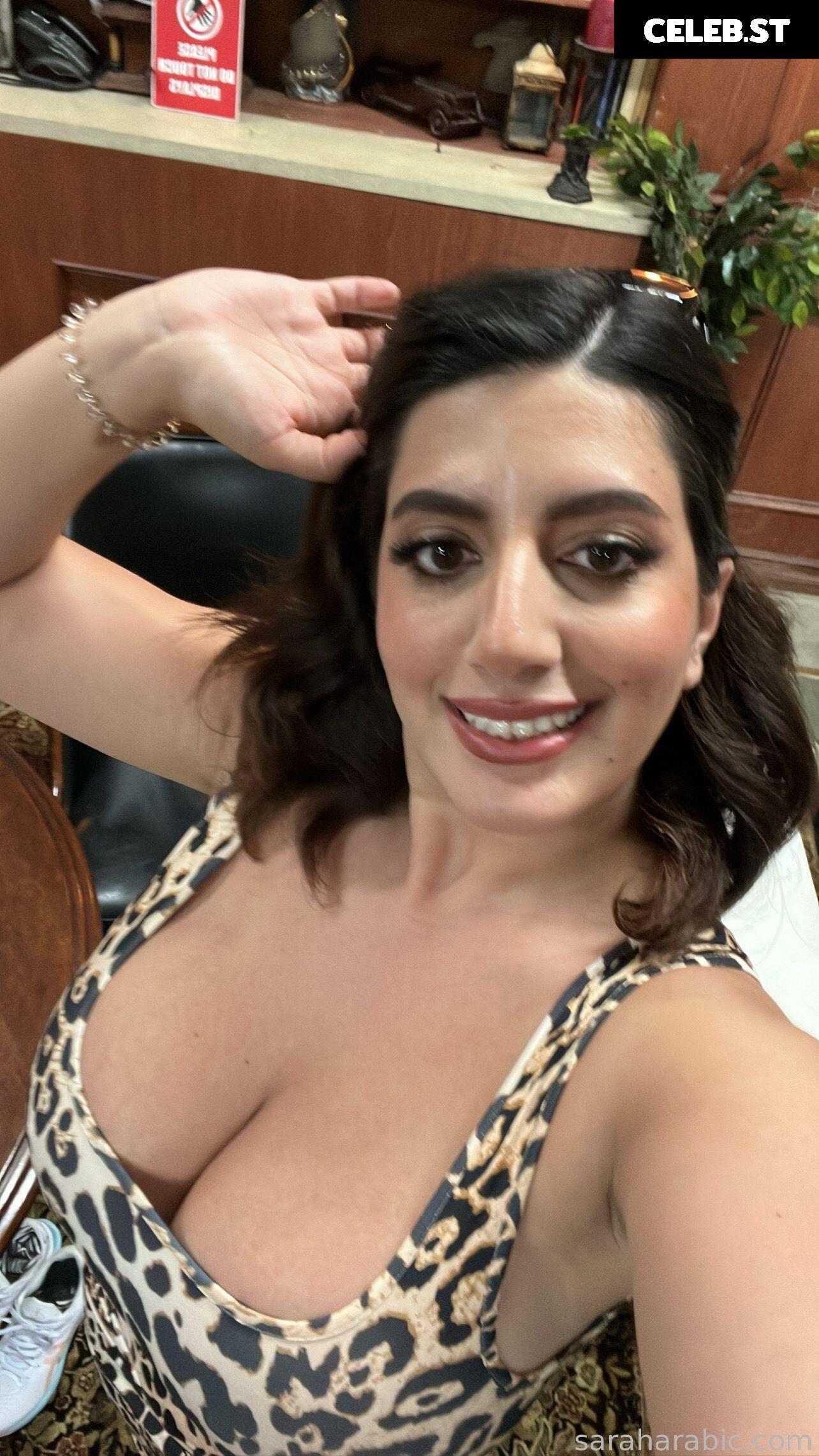 SarahArabic Image 14639332
