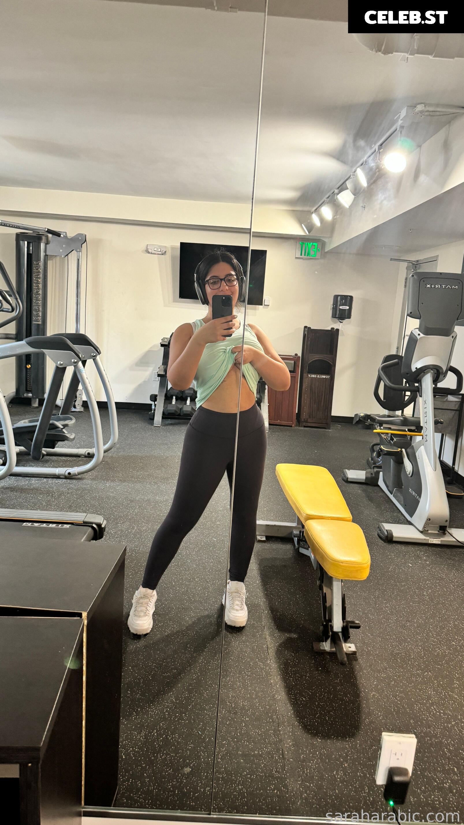 SarahArabic Image 14639285