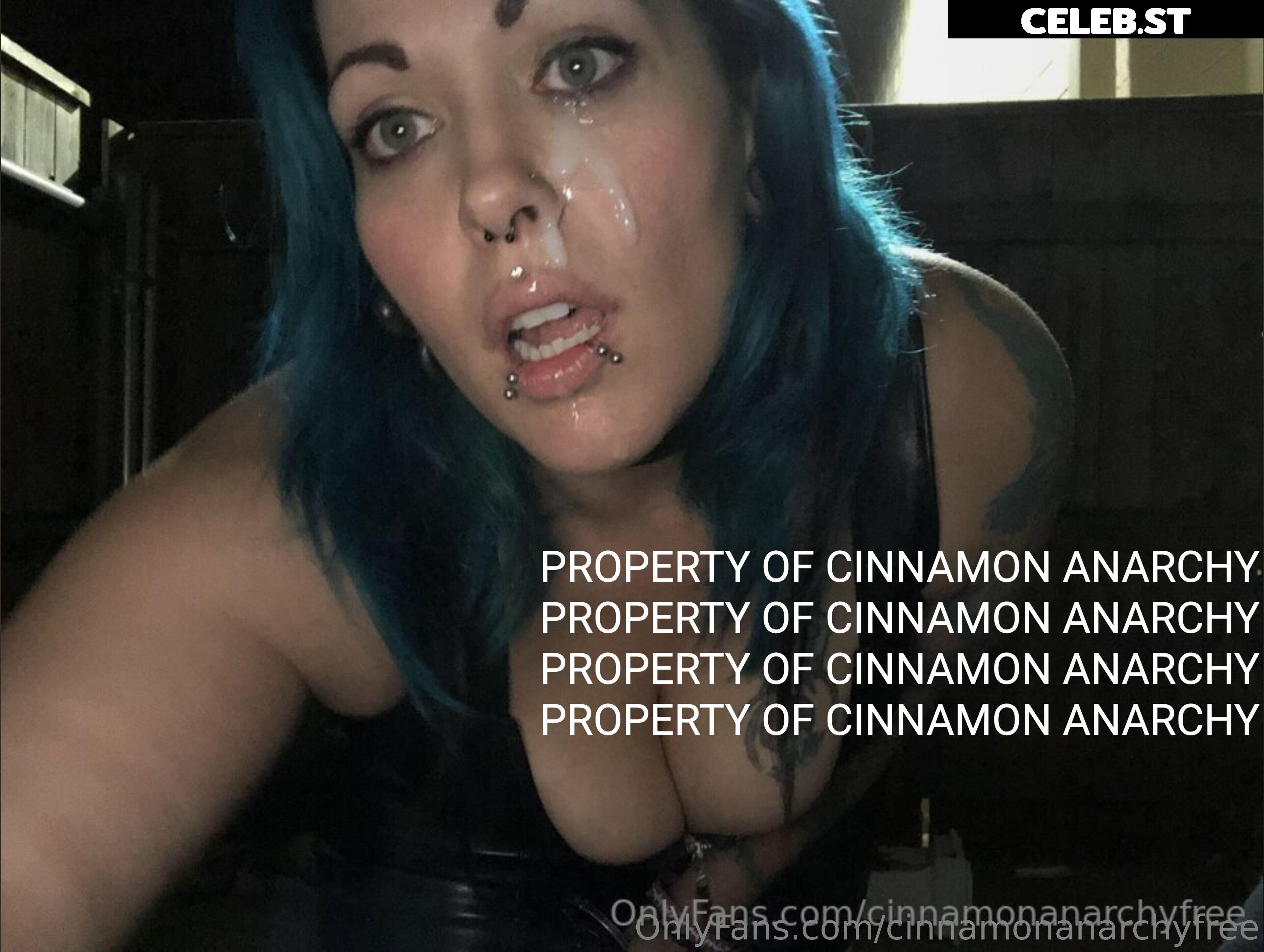 cinnamonanarchyfree Image 14485532