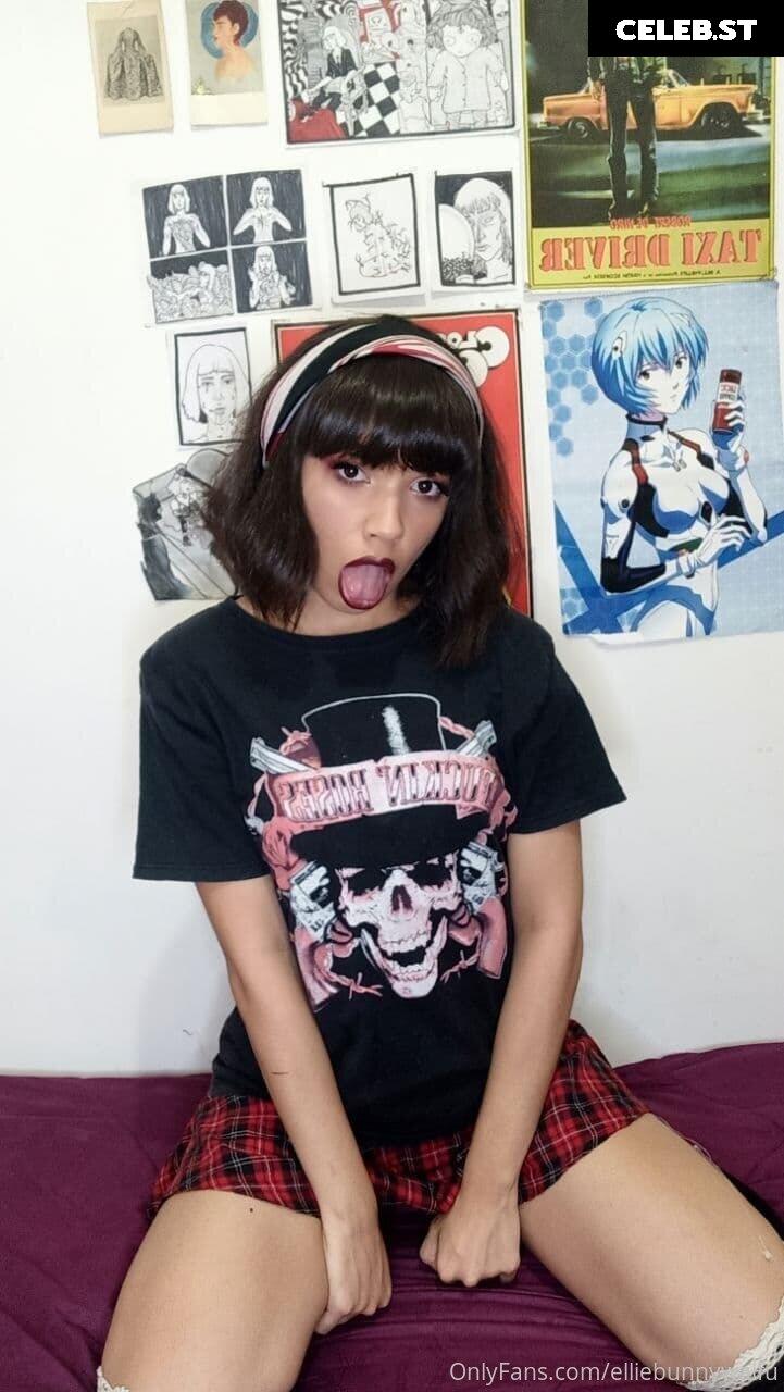 elliebunnywaifu Image 14318666