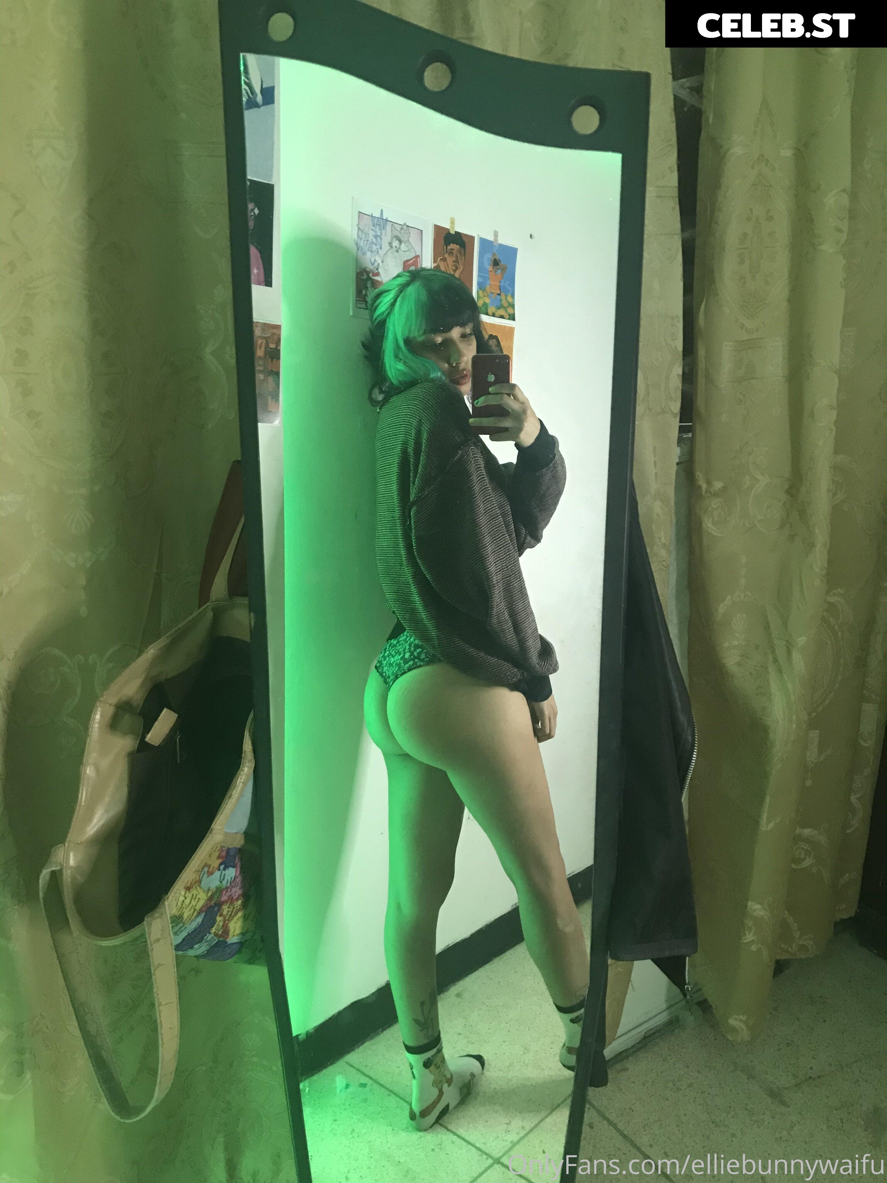 elliebunnywaifu Image 14318674
