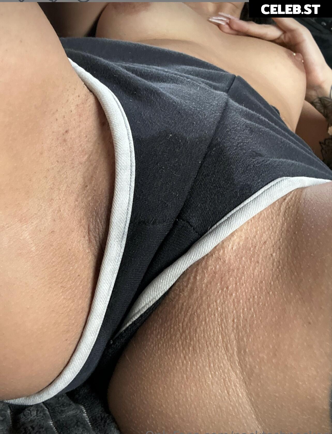 Nacktschneckee Image 142827