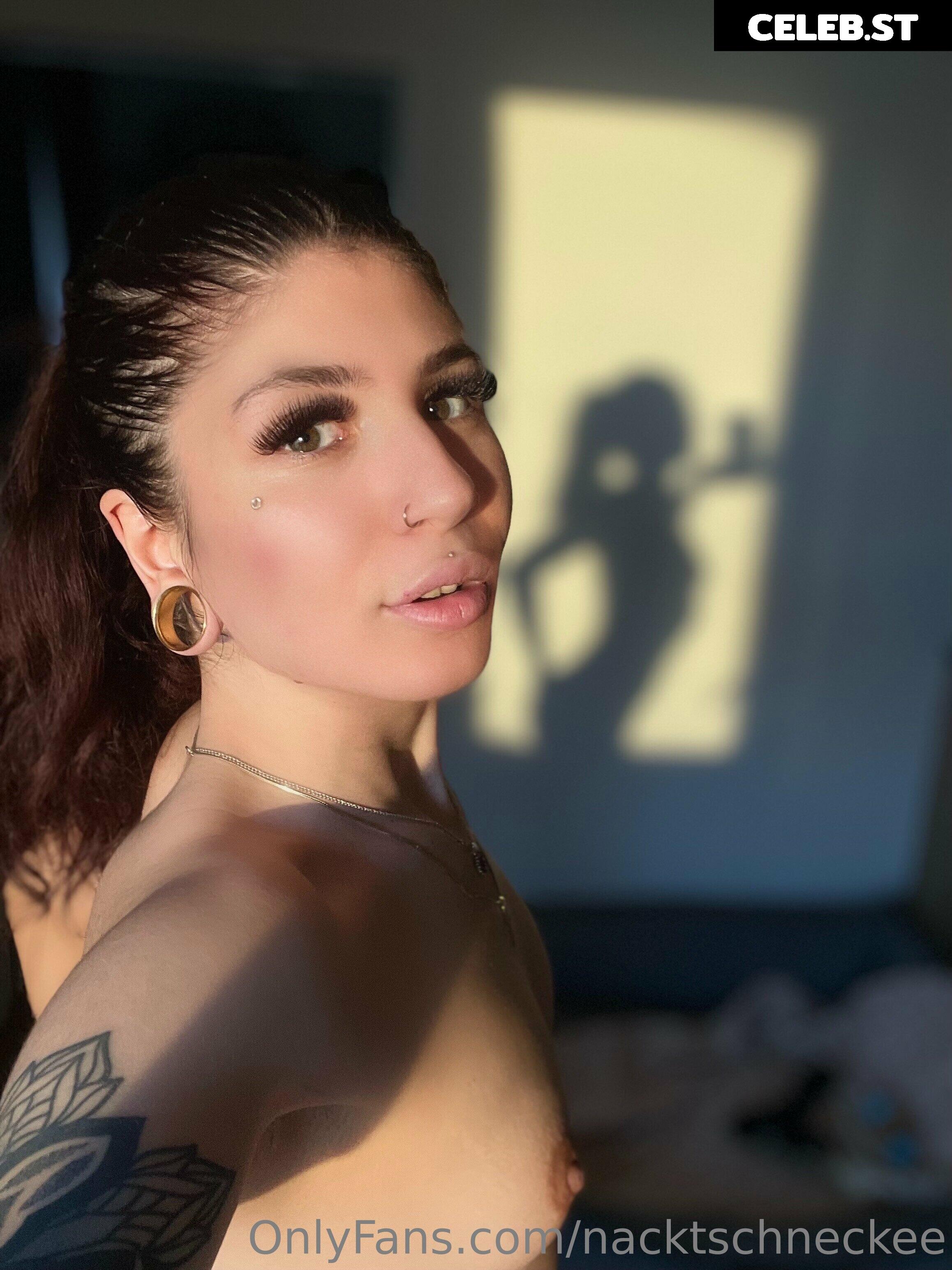 Nacktschneckee Image 140540