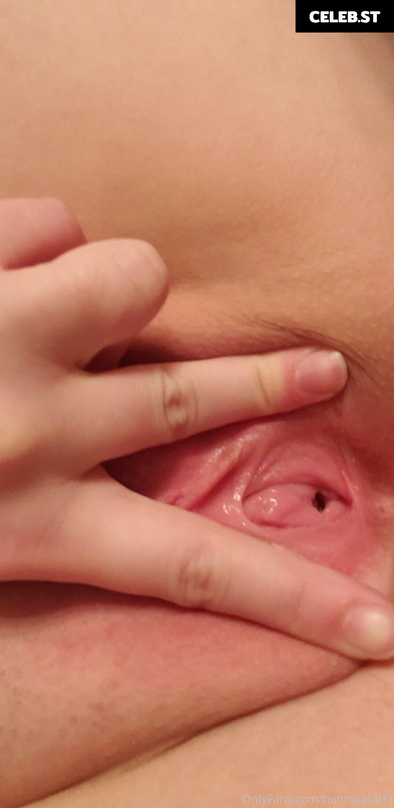 hunnyrabb1t Image 15916467