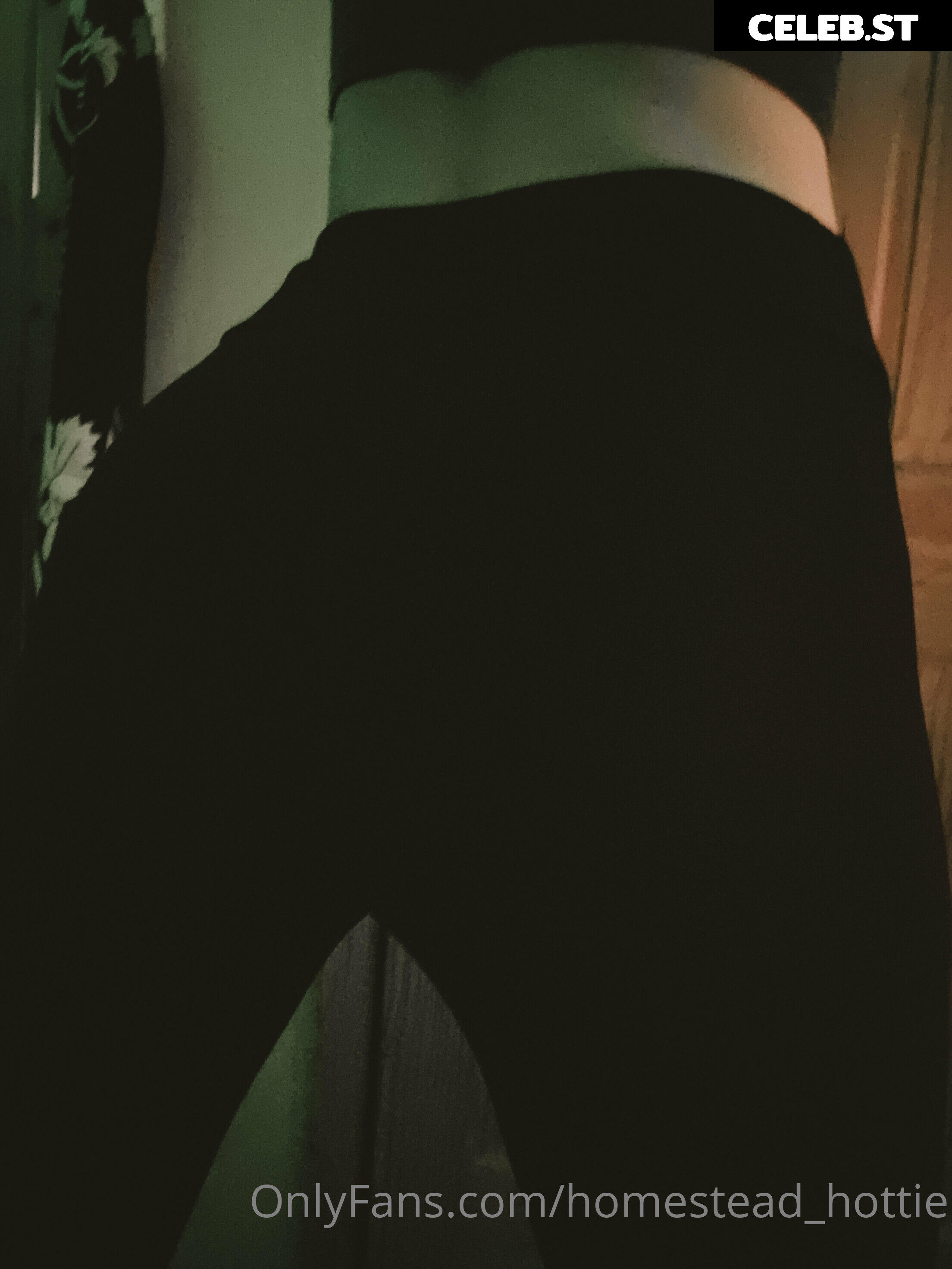 homestead_hottie Image 15772785