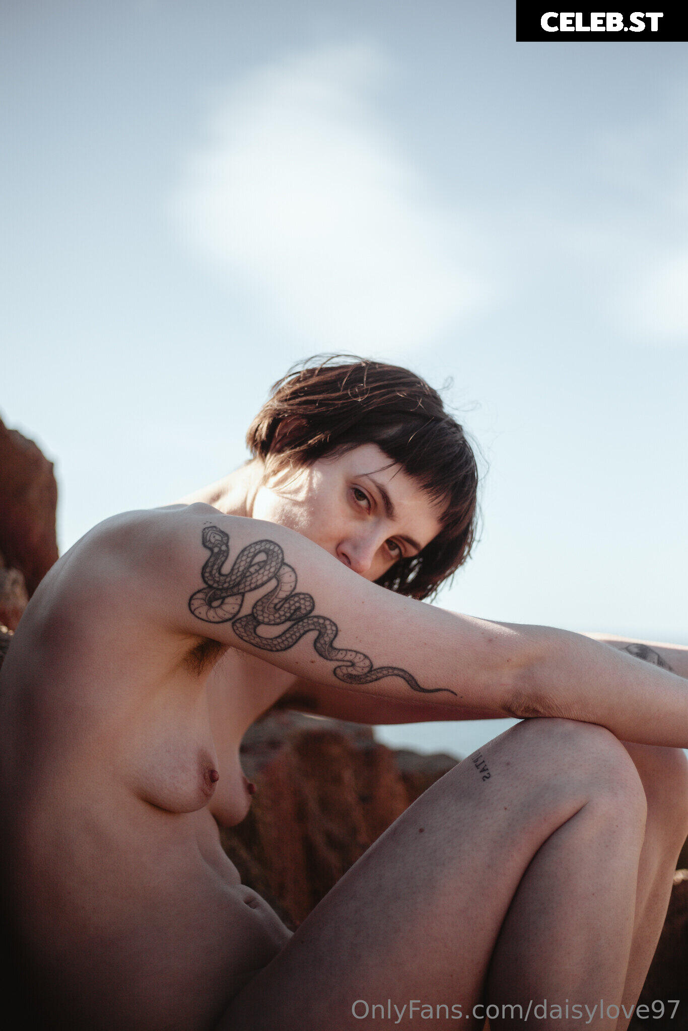 Daisy Love Image 157111