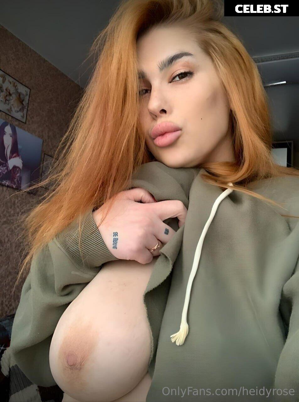 heidyrose Image 15722496