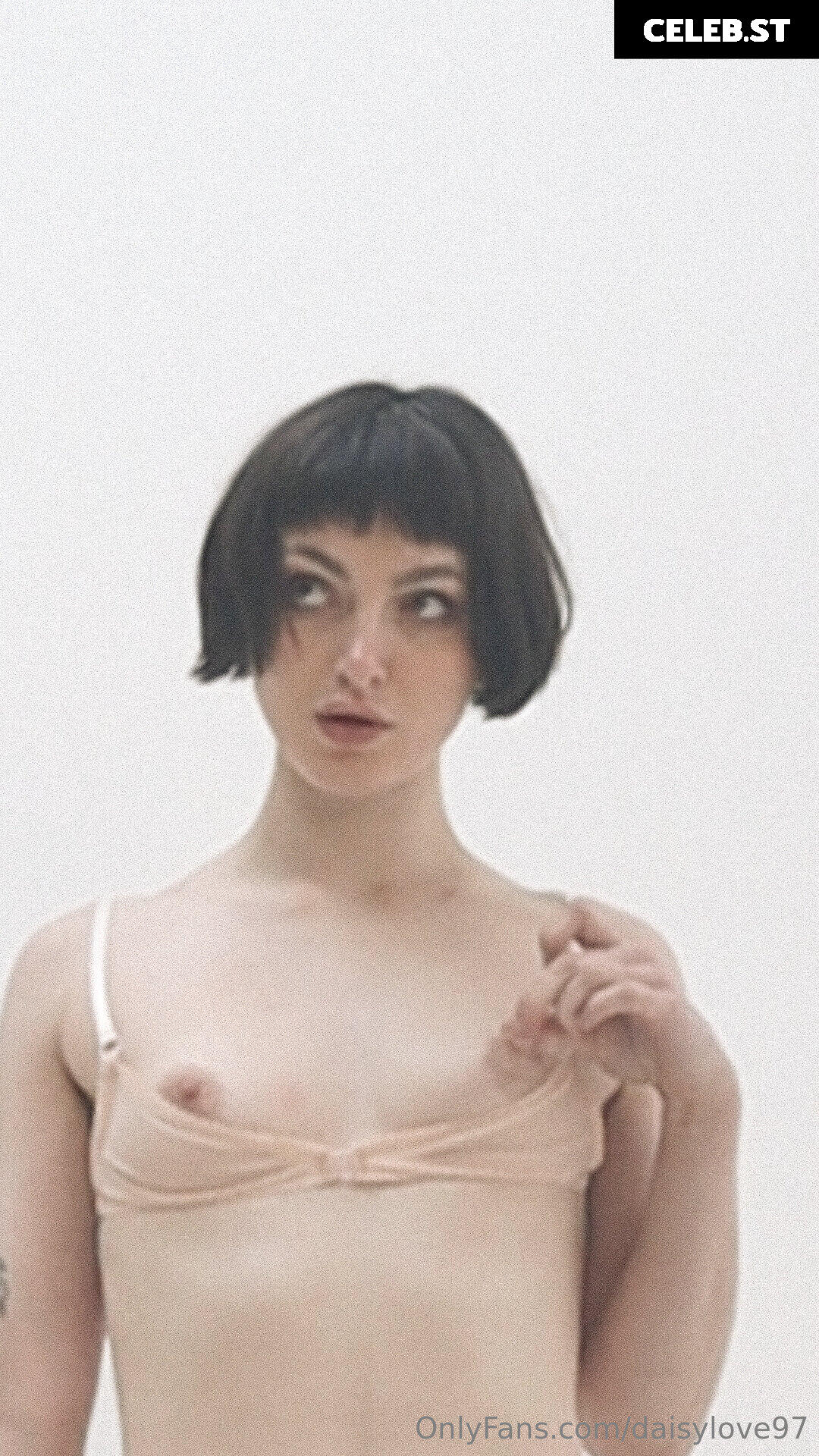 Daisy Love Image 156697