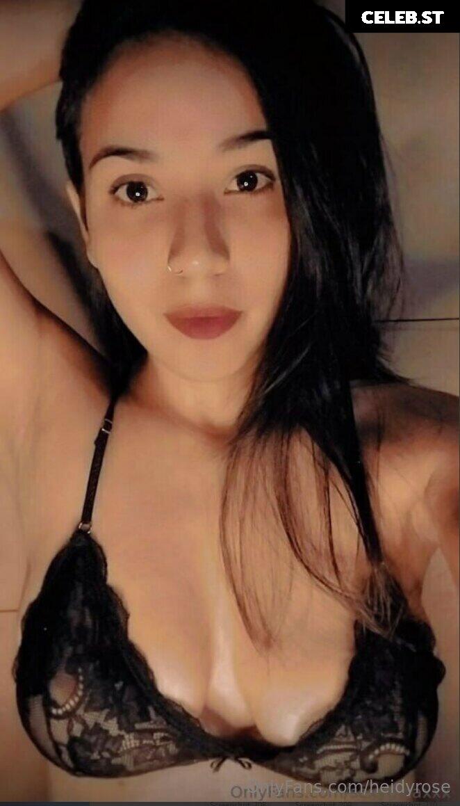 heidyrose Image 15675420