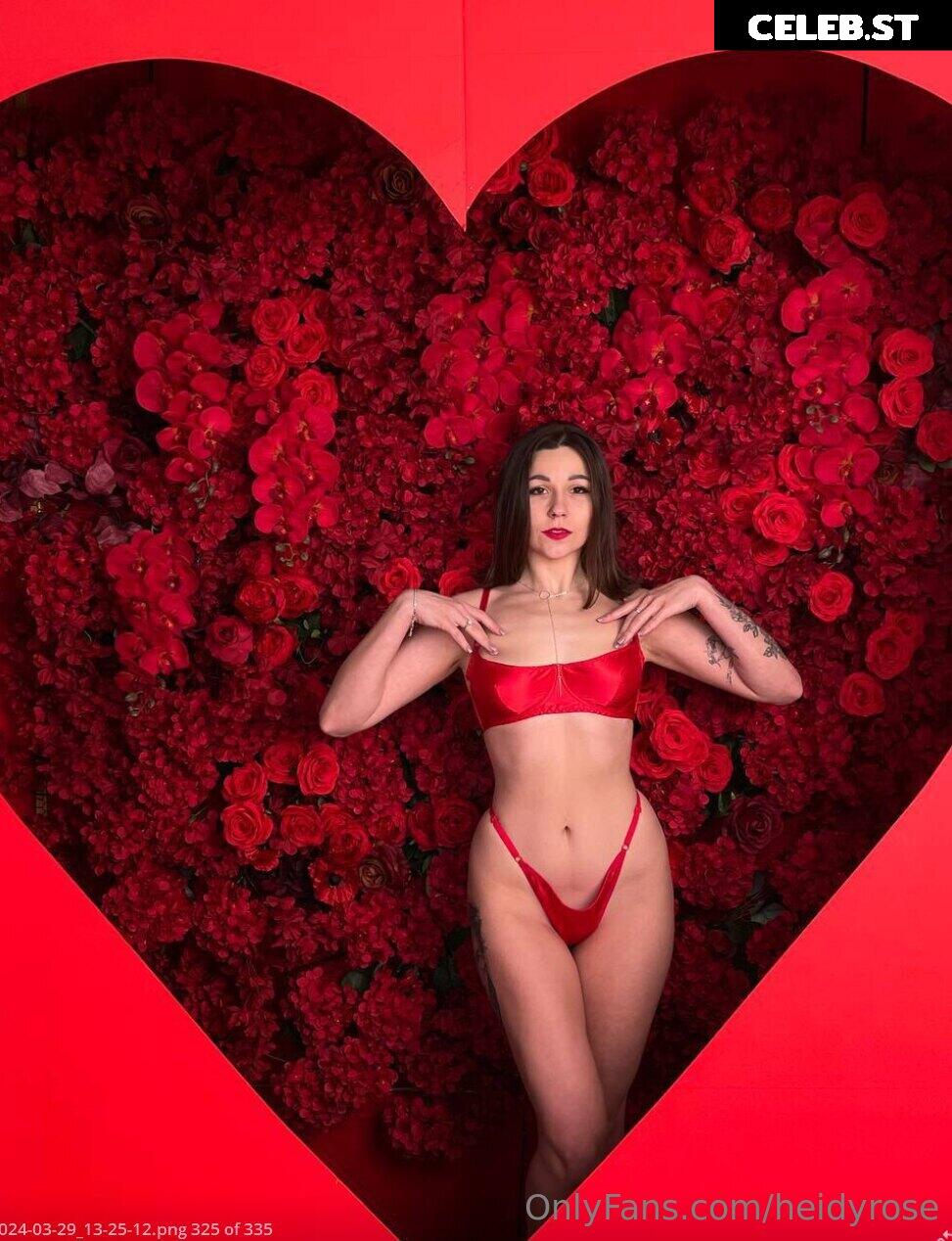 heidyrose Image 15675428