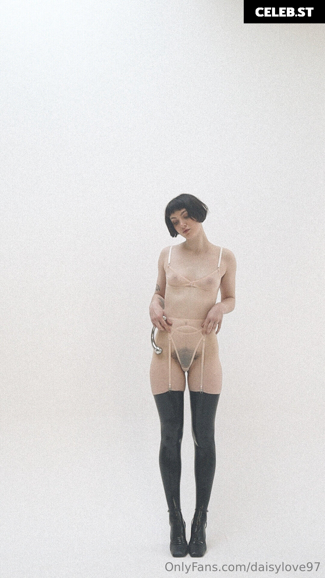 Daisy Love Image 156749