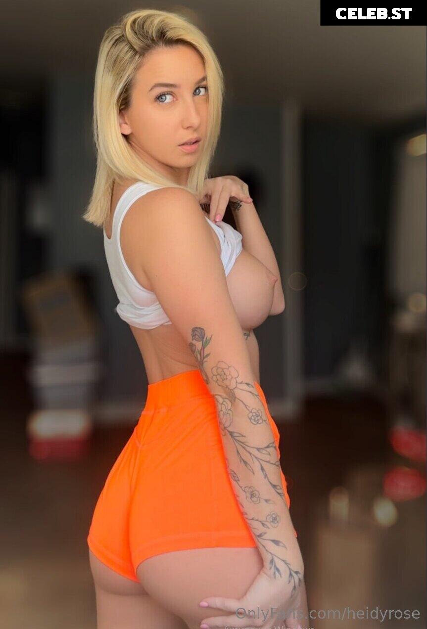 heidyrose Image 15673638