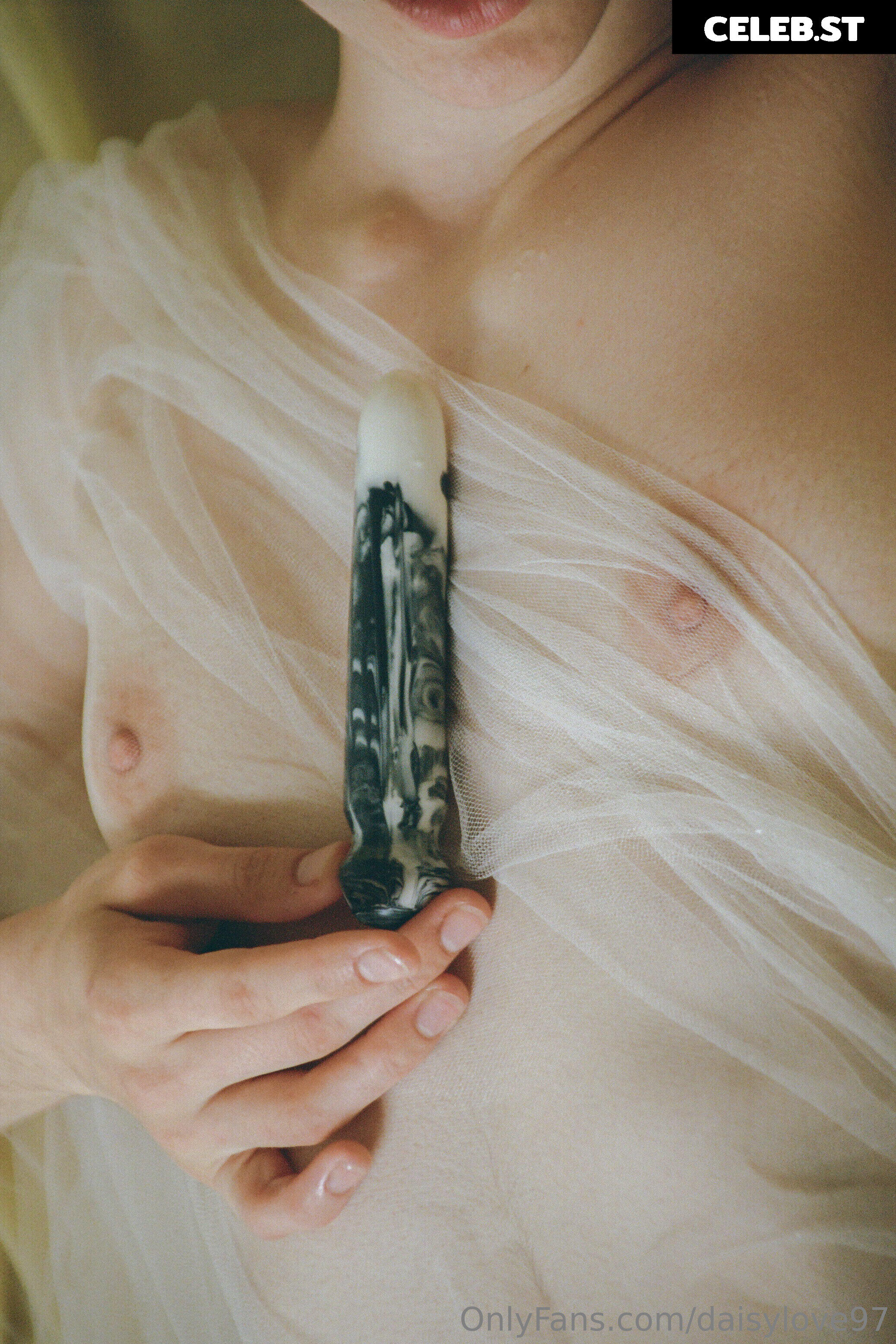 Daisy Love Image 156462