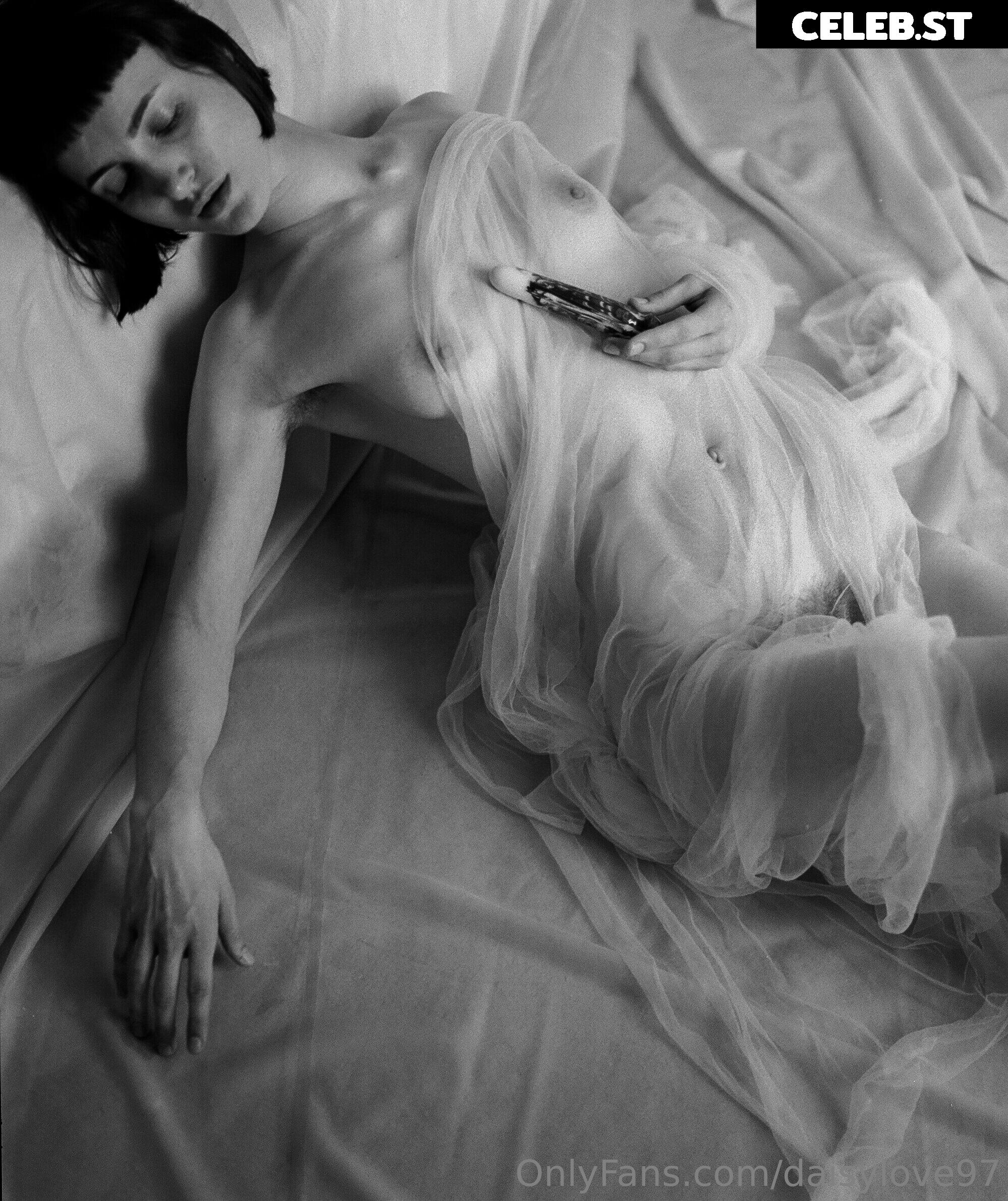 Daisy Love Image 156350