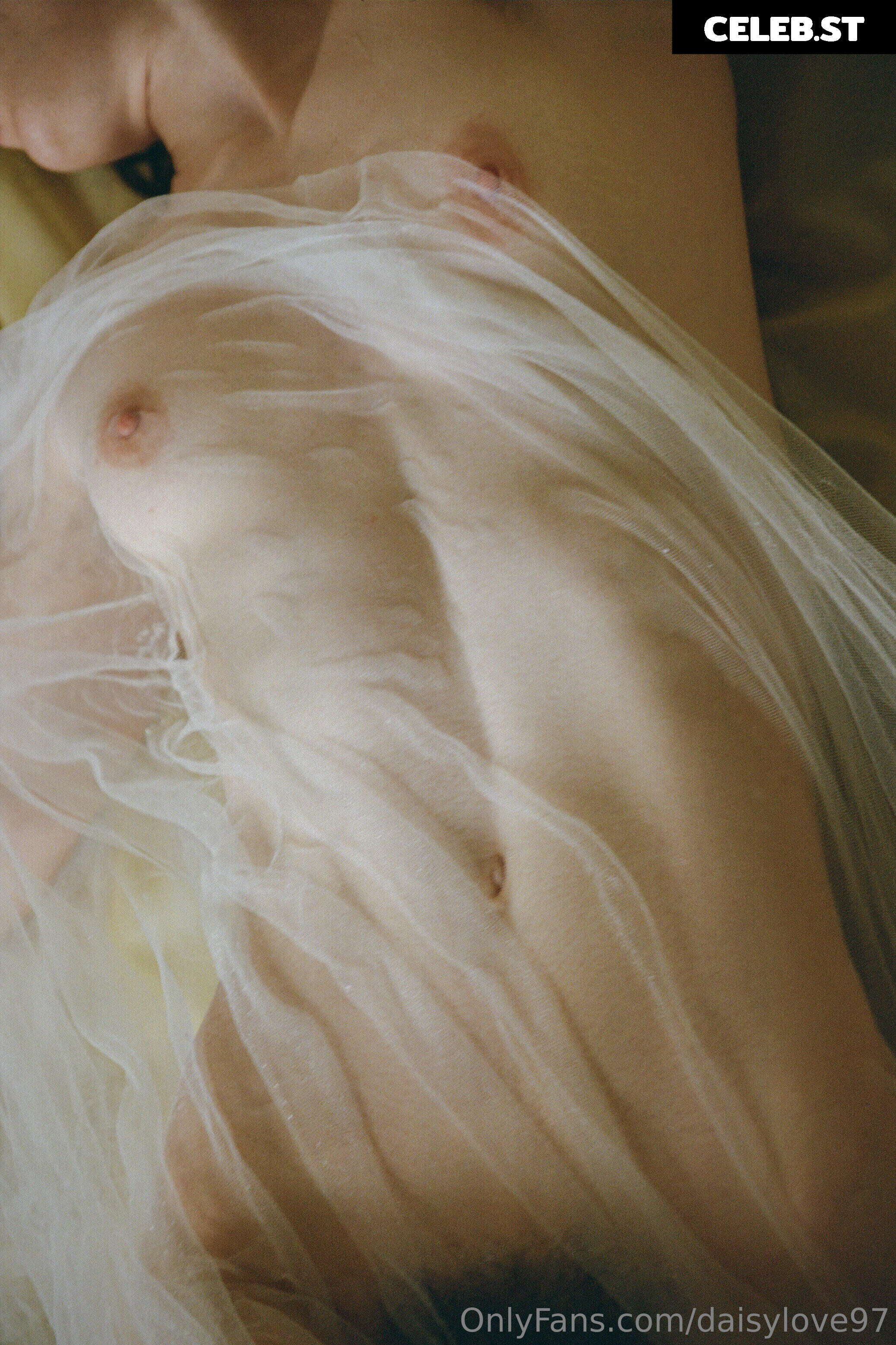 Daisy Love Image 156399