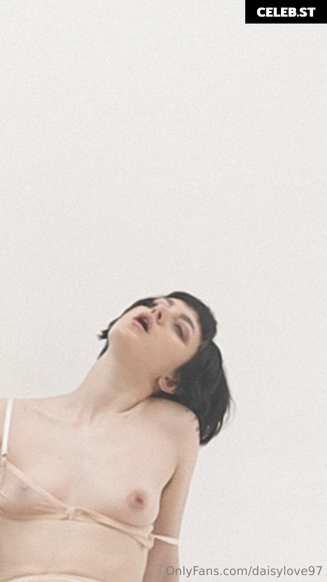 Daisy Love Image 156857